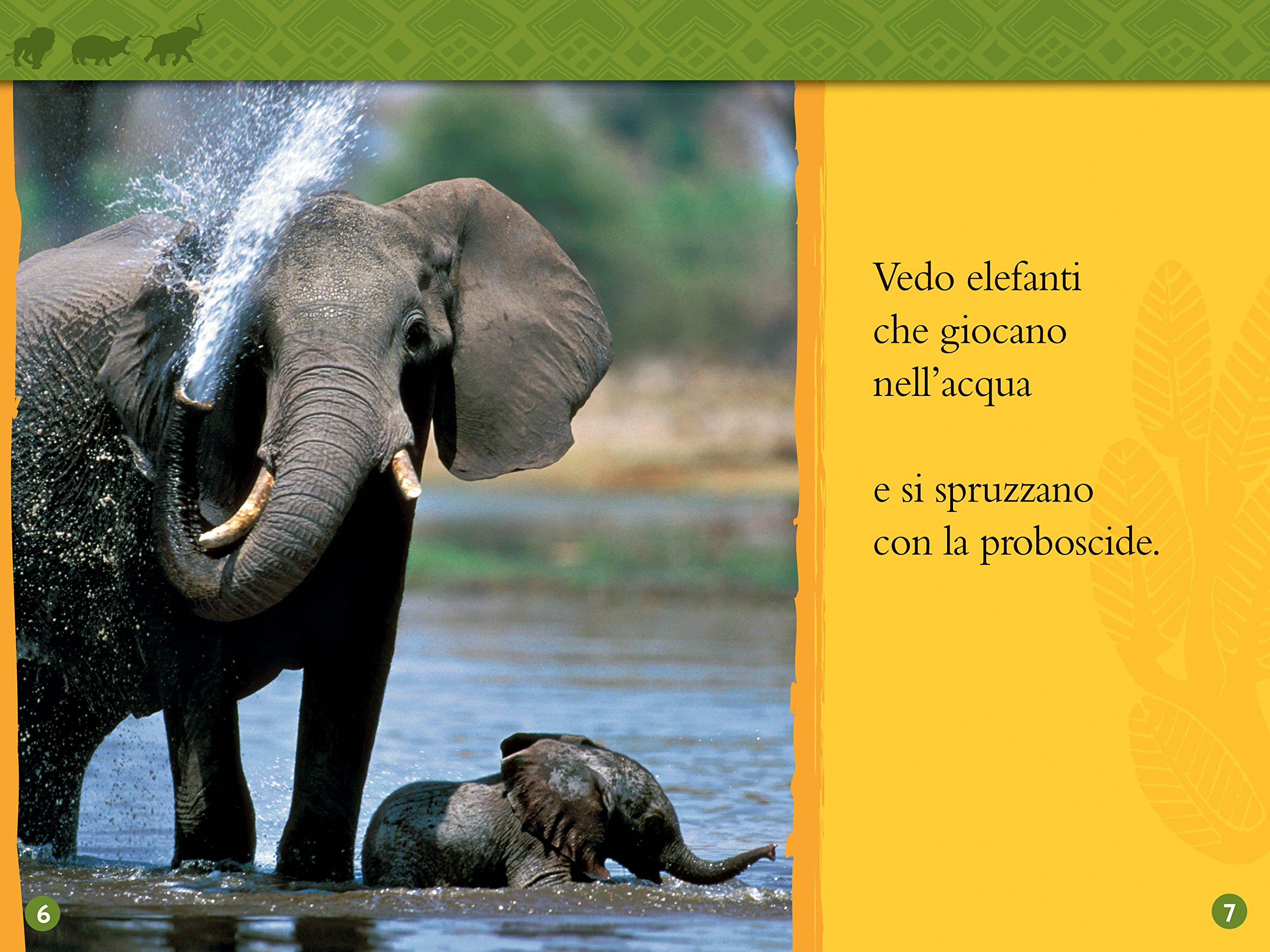 National Geographic Kids – Libri Nella savana. Primi passi libro edizione a colori