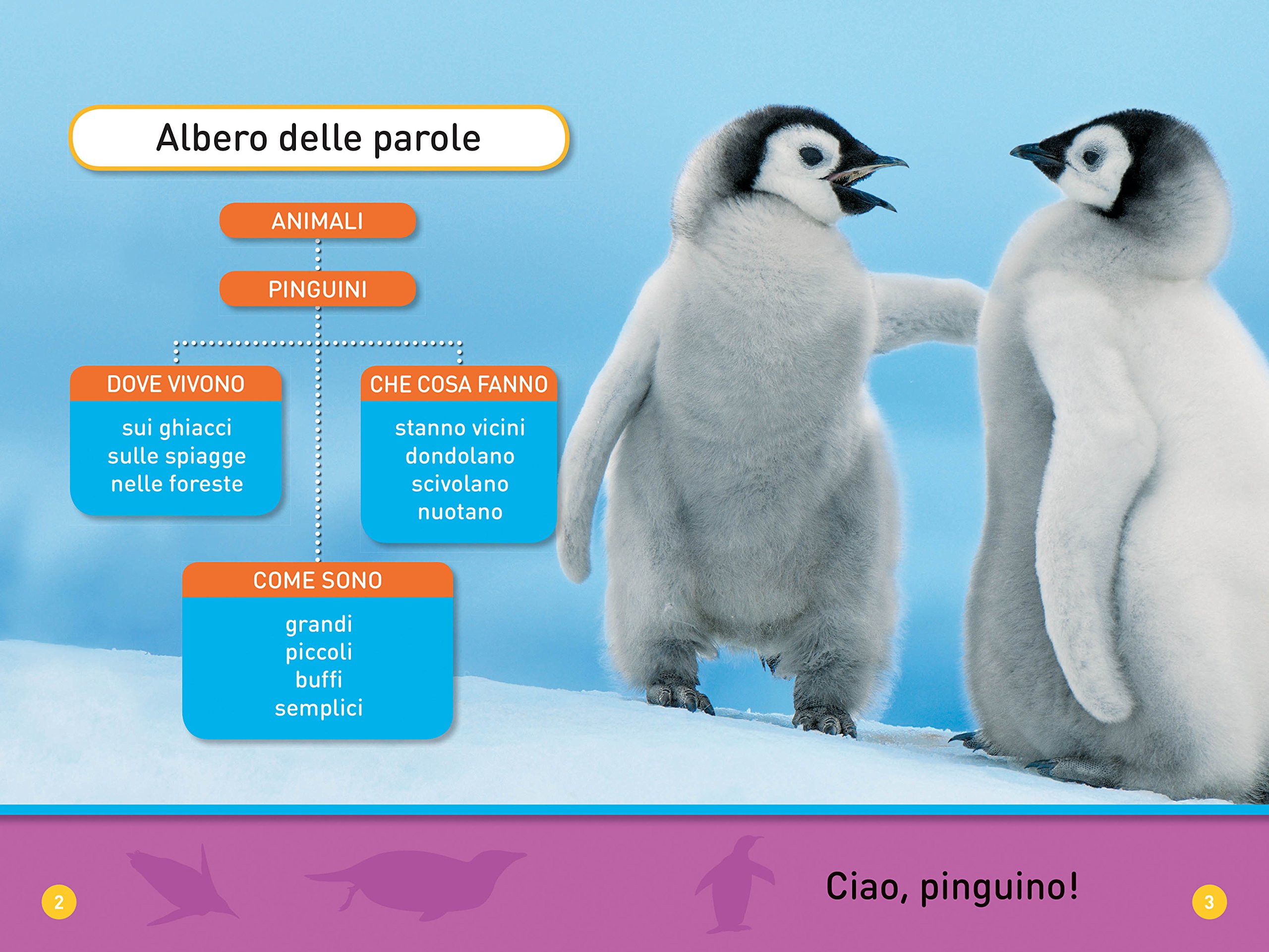 National Geographic Kids – Libri Il mio amico pinguino Primi passi libro