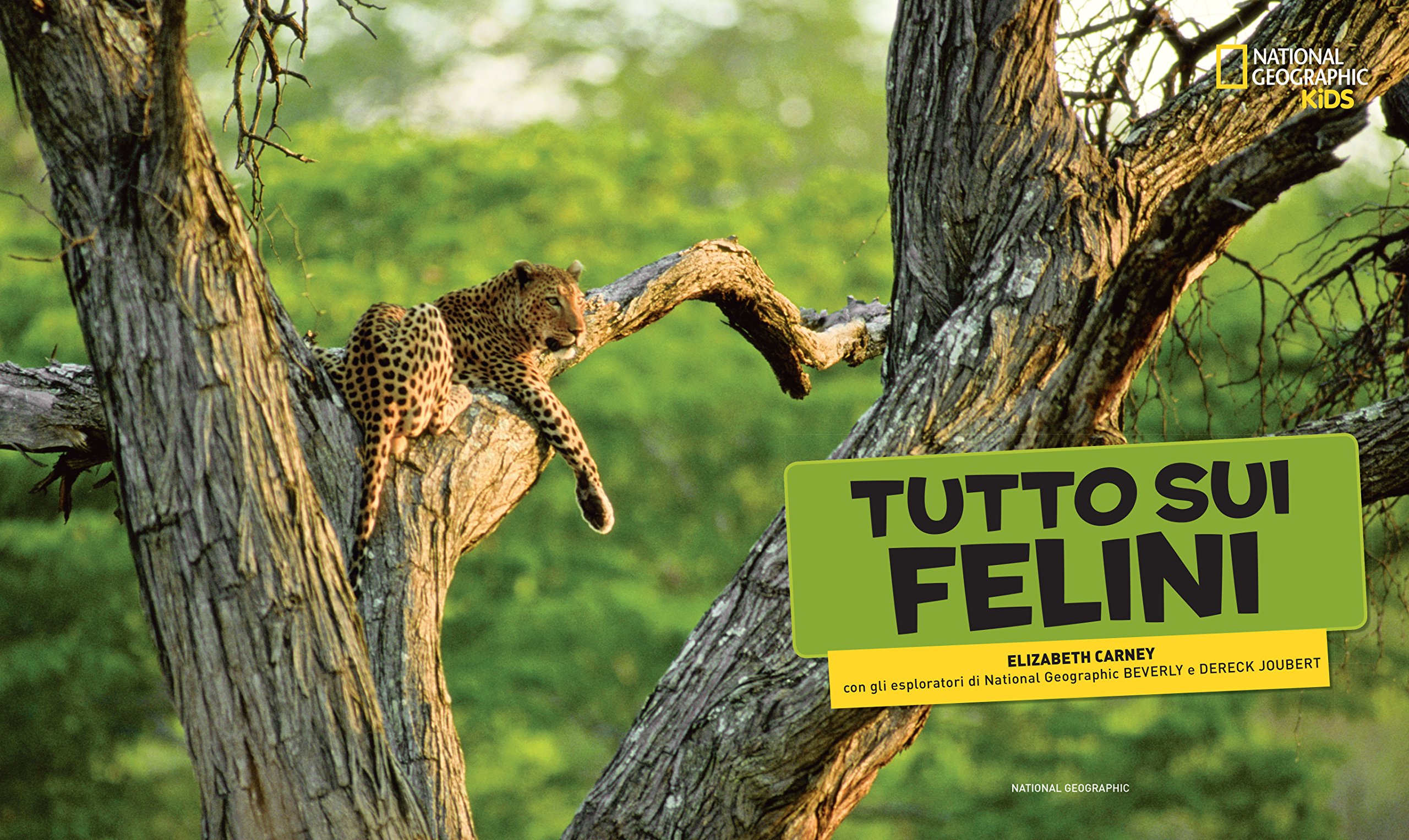 National Geographic Kids Tutto sui felini libro edizione a colori