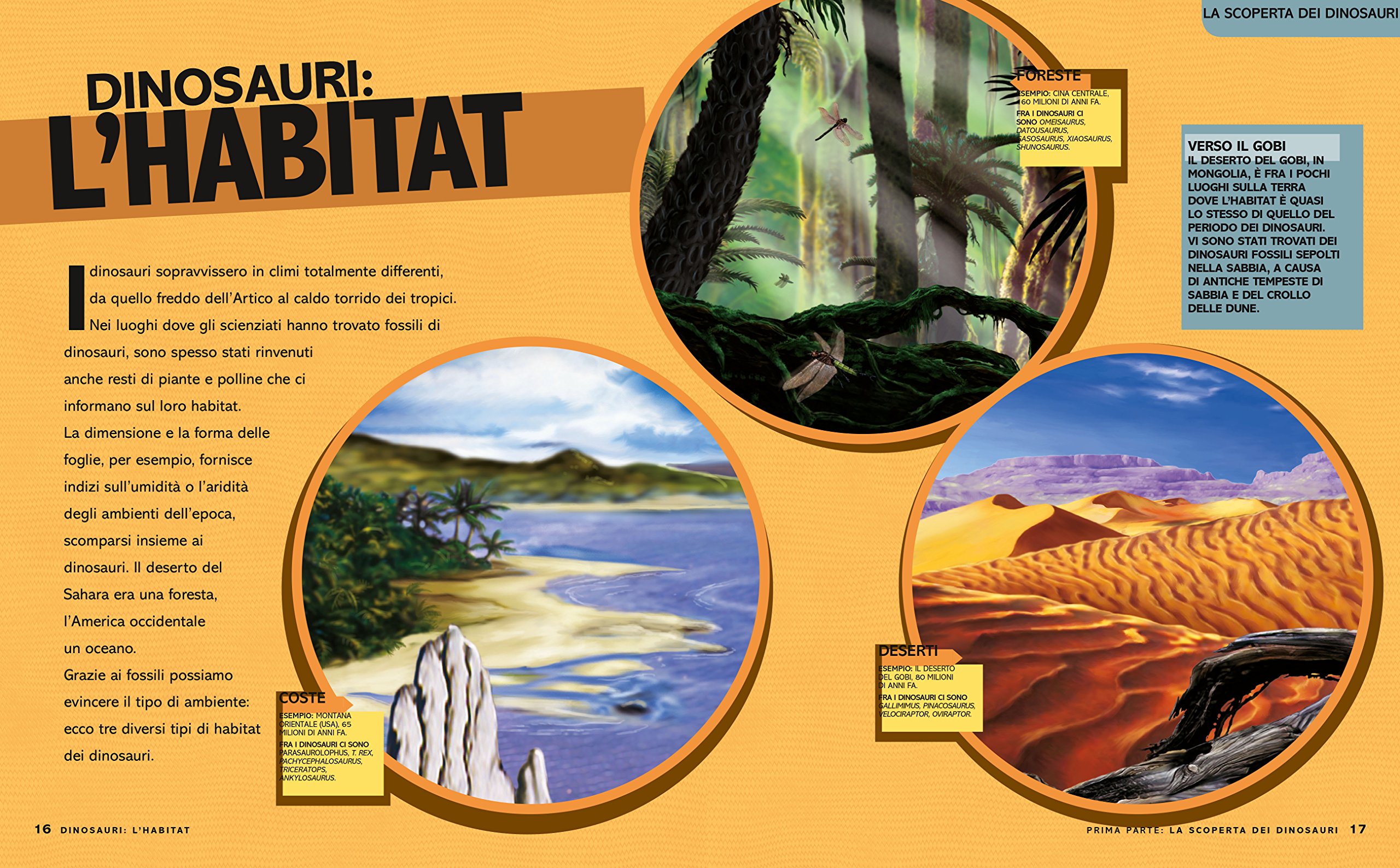 National Geographic National Geographic Kids – Libri Super dinopedia. Ediz. a colori: 1 libro