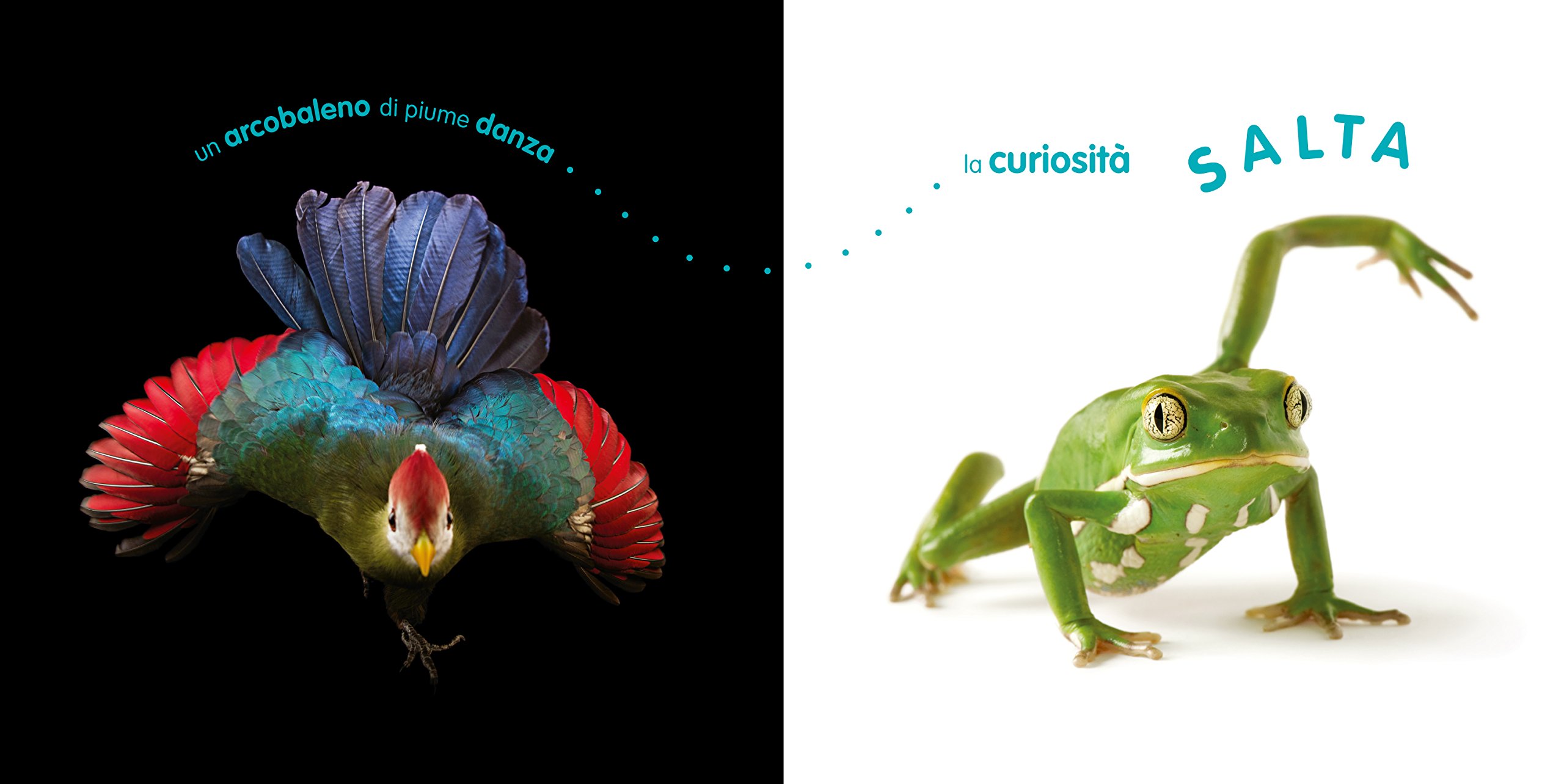 National Geographic Kids – Libri Animal Ark. Poesia e immagini per celebrare la natura. Ediz. a colori libro