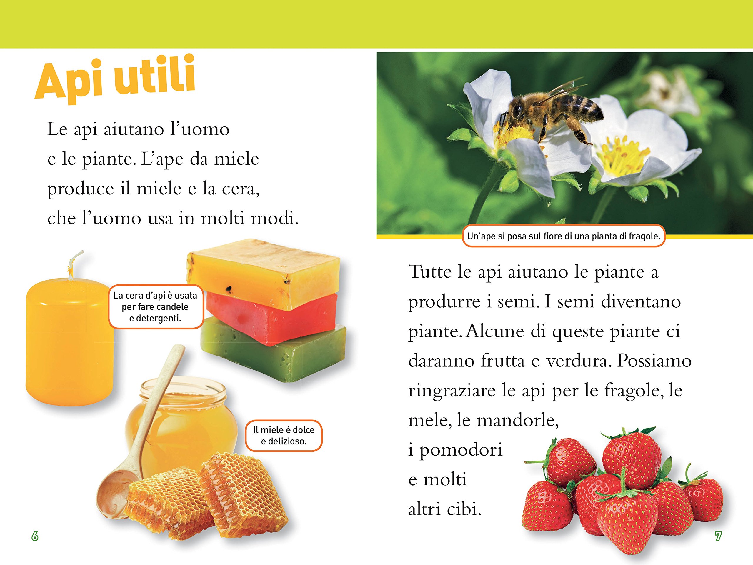 National Geographic Kids – Libri Api. Livello 3. Ediz. a colori