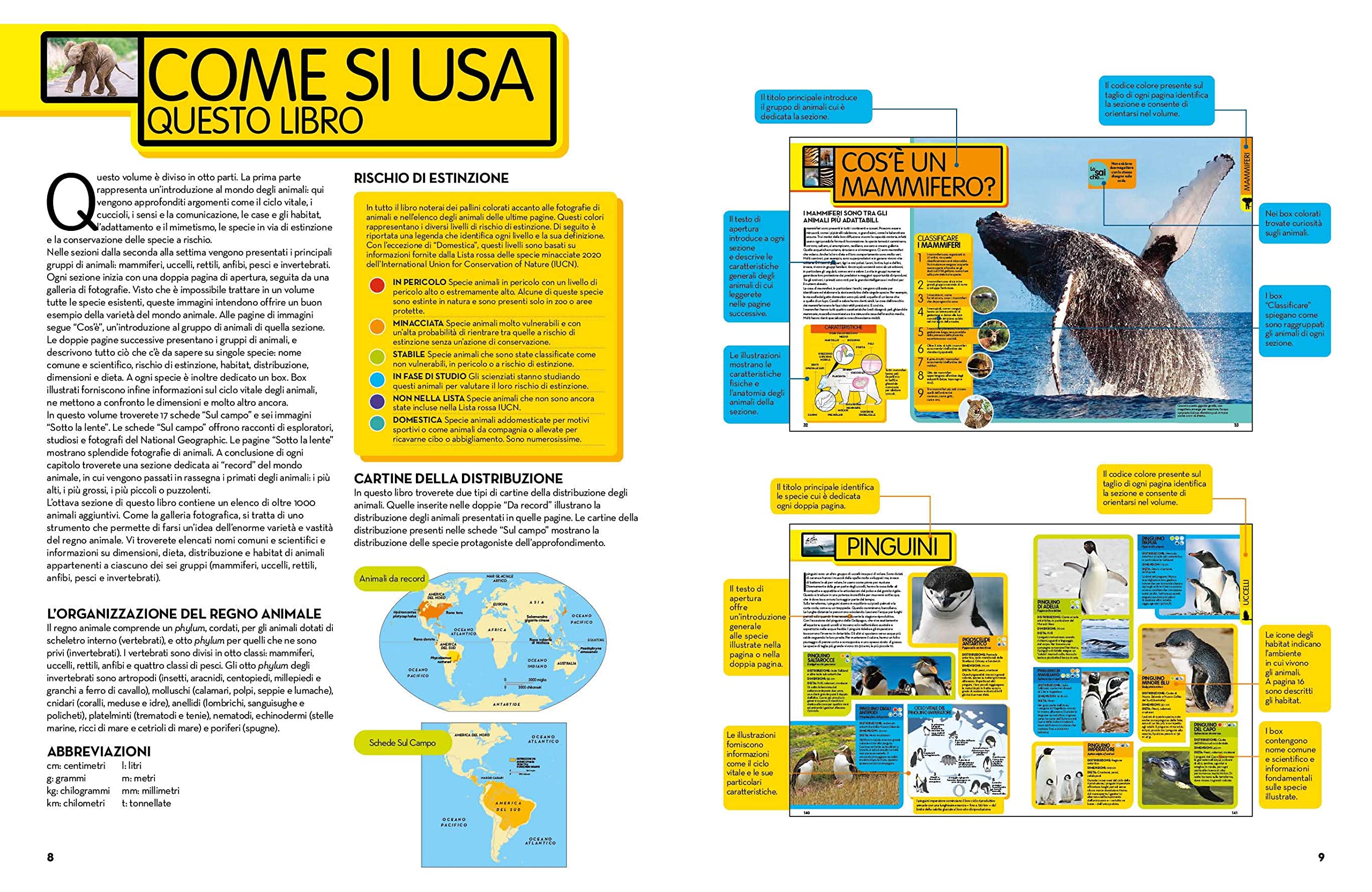 National Geographic Kids – Libri La Grande Enciclopedia Degli Animali guida illustrata