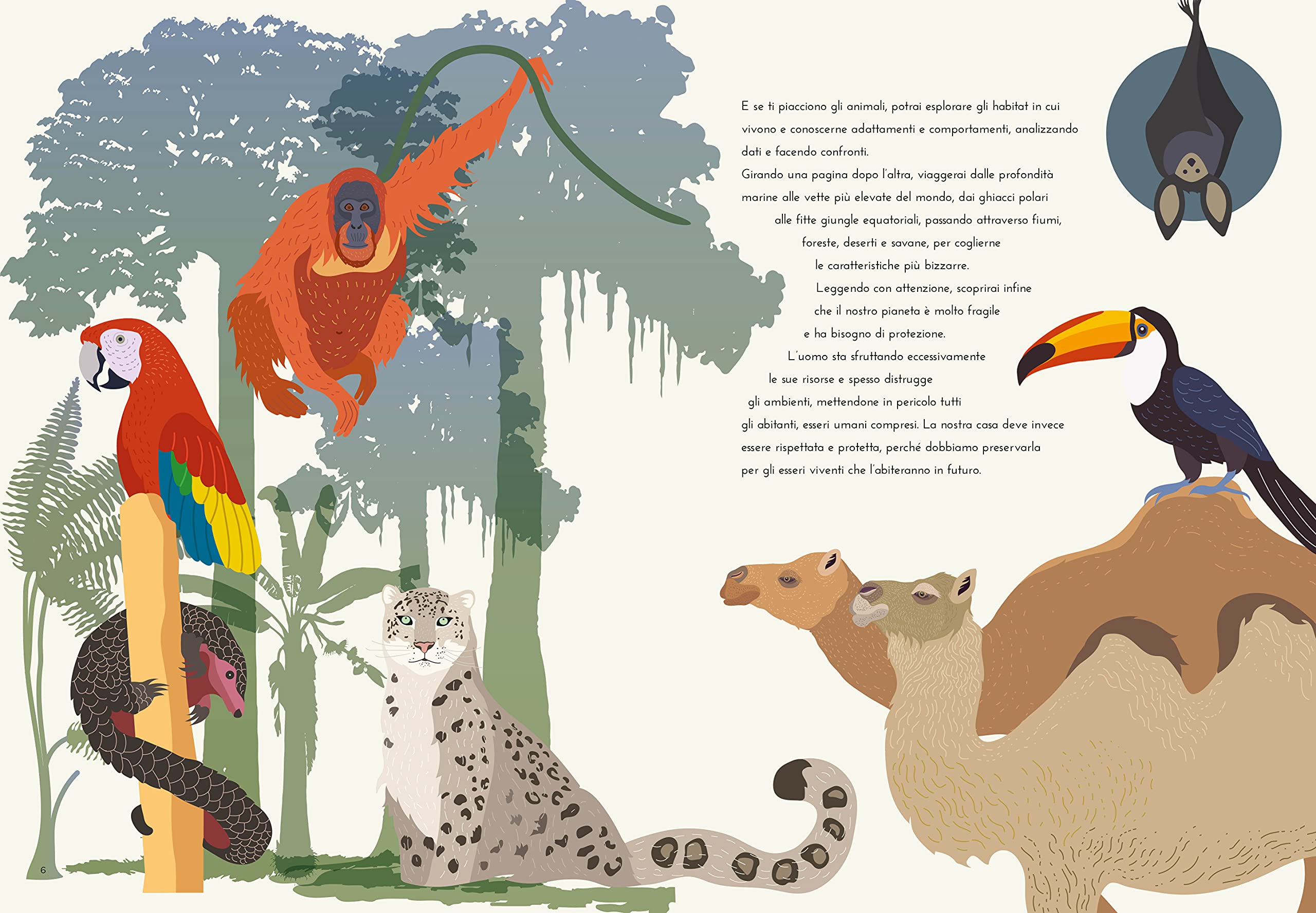National Geographic Kids – Libri La Terra. Il nostro pianeta spiegato in un colpo d'occhio libro