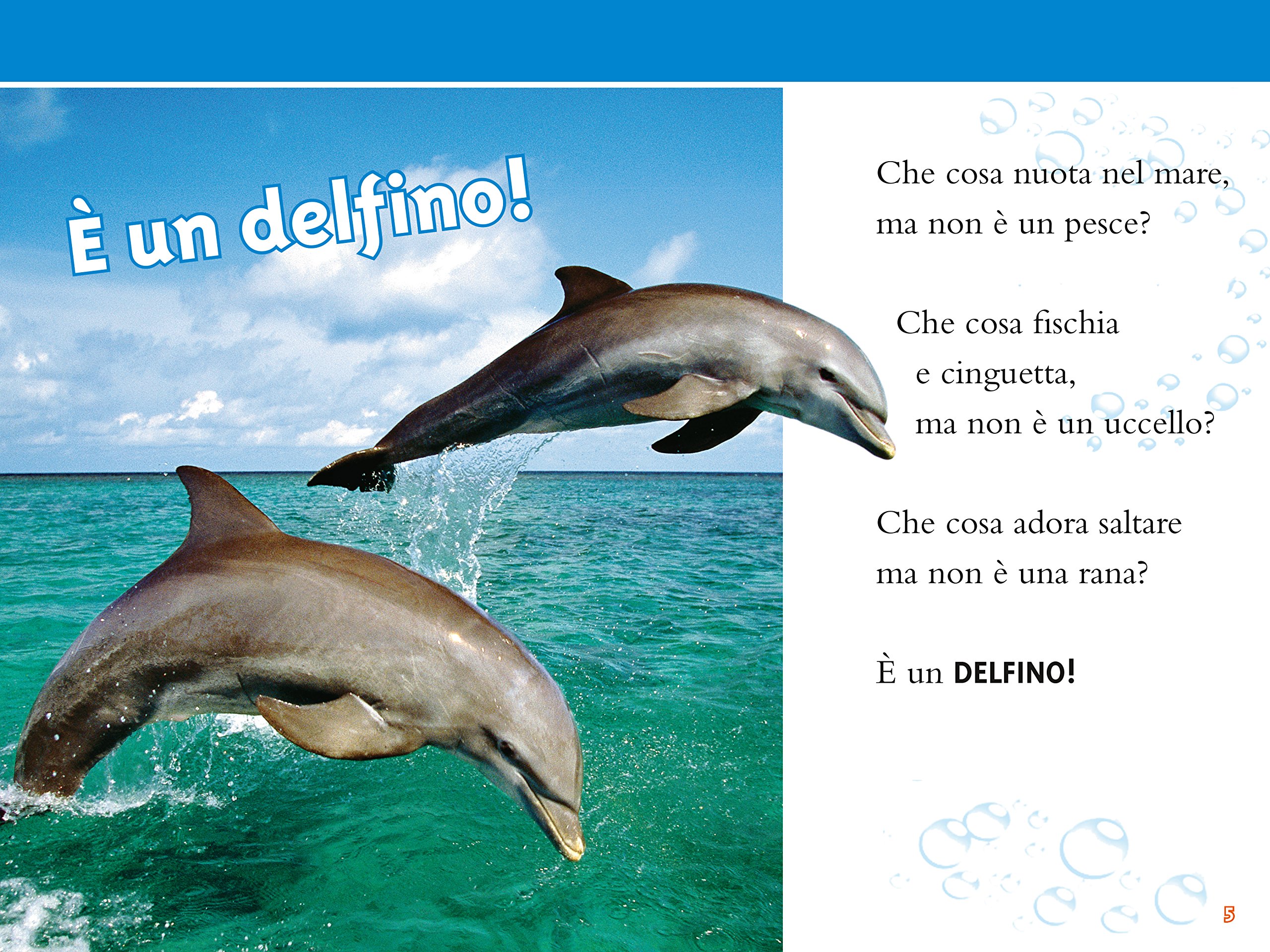 National Geographic Kids – Libri Delfini. Livello 3. Ediz. a colori libro