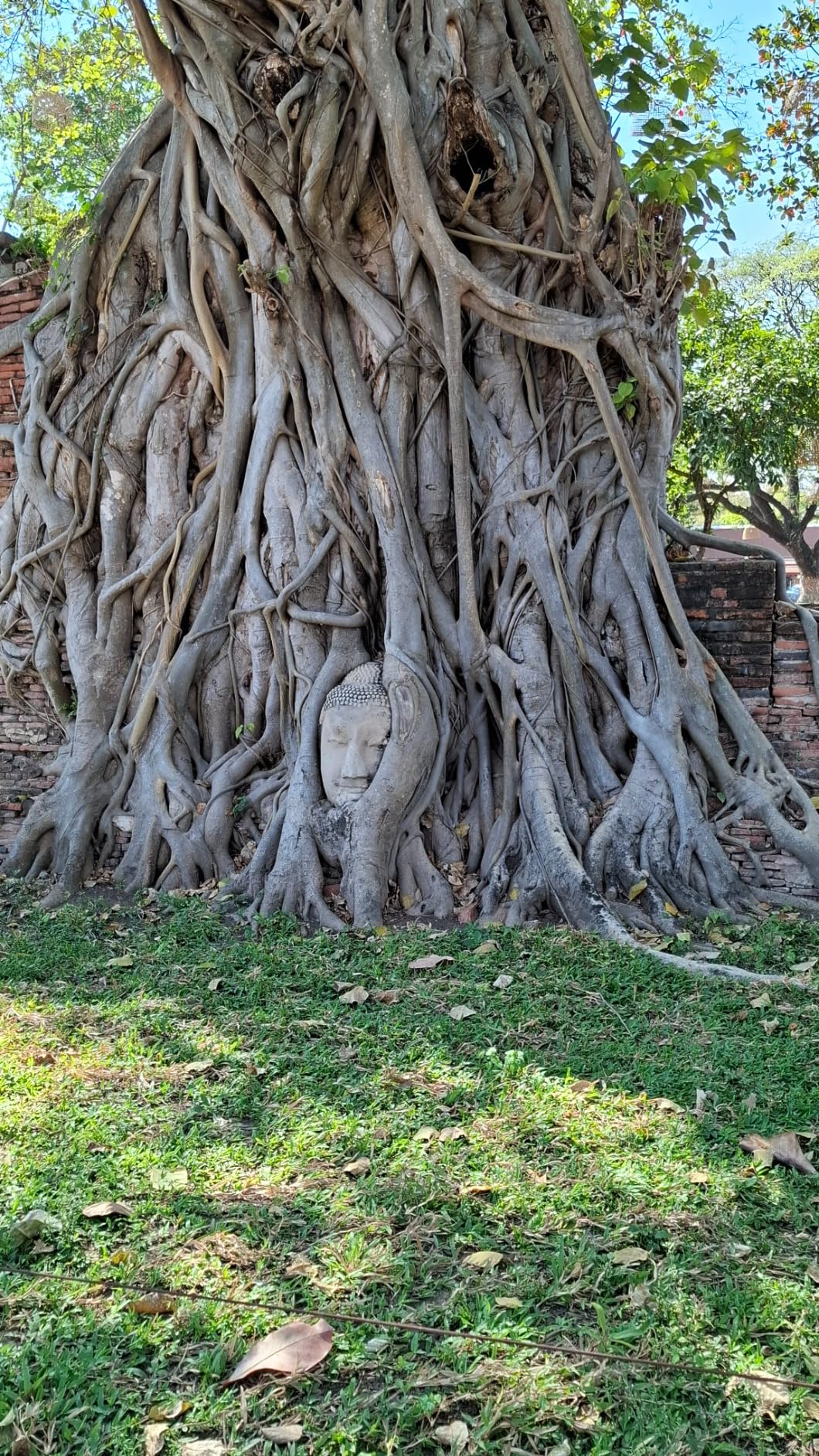 National Geographic Le Guide Traveler di National Geographic TravelGuide Thailandia guida turistica