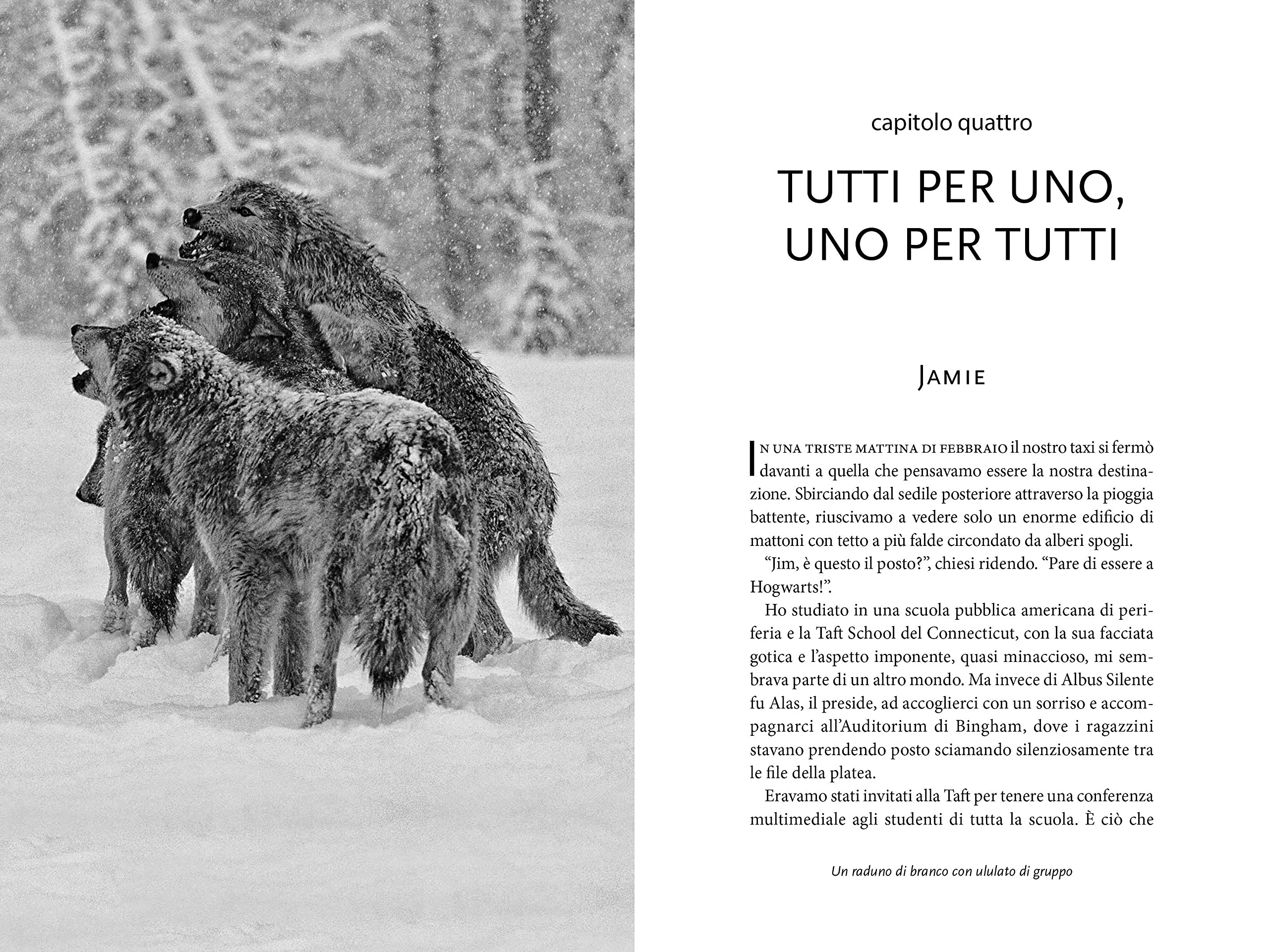 National Geographic Lupi Storie di saggezza libro illustrato