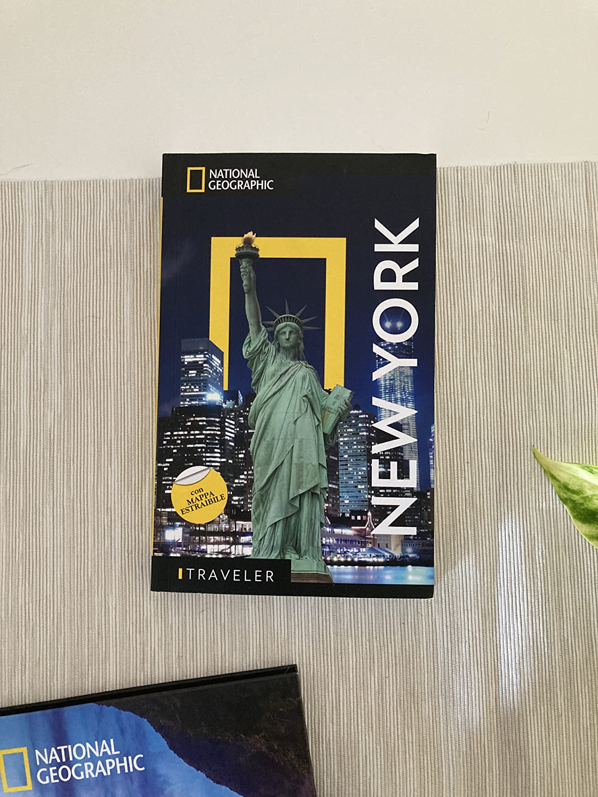 National Geographic Le Guide Traveler New York guida turistica con mappa