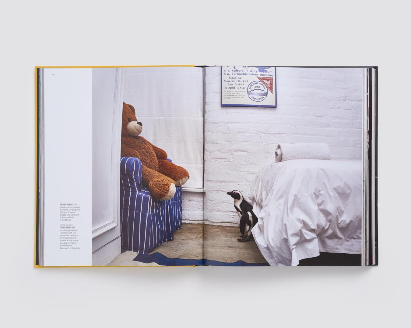 National Geographic – Libri Le grandi fotografie di National Geographic libro