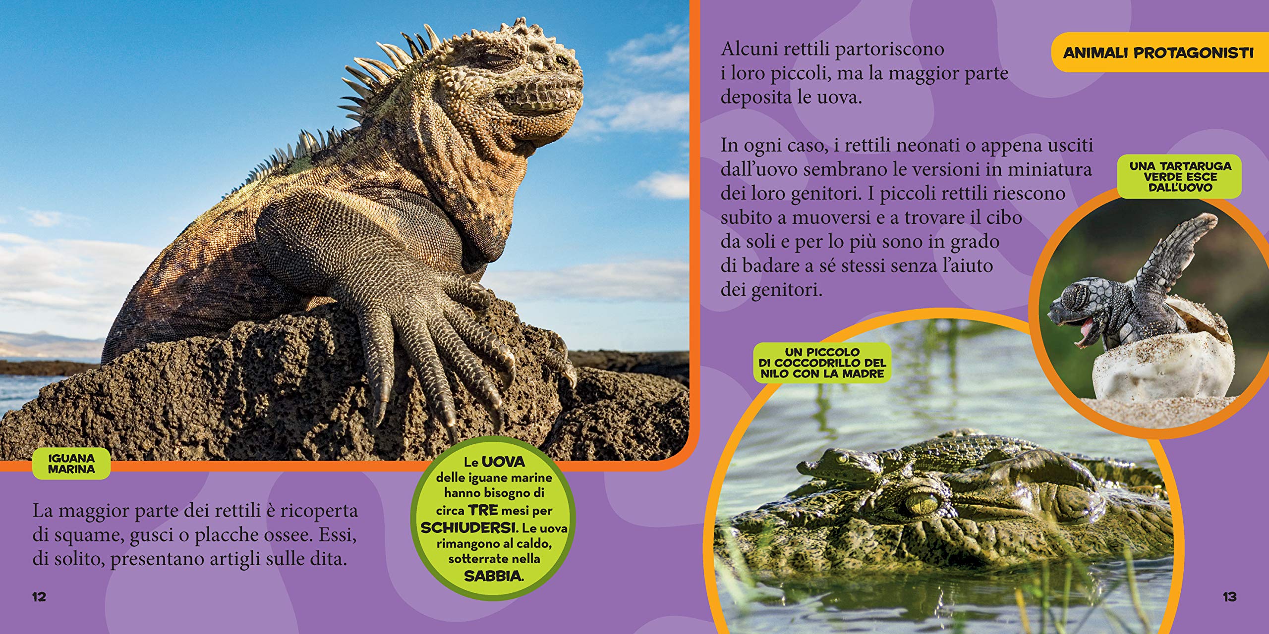 National Geographic Kids – Libri Il primo grande libro dei rettili e degli anfibi