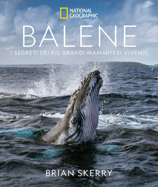 National Geographic – Libri Balene. I segreti dei più grandi mammiferi viventi libro a colori