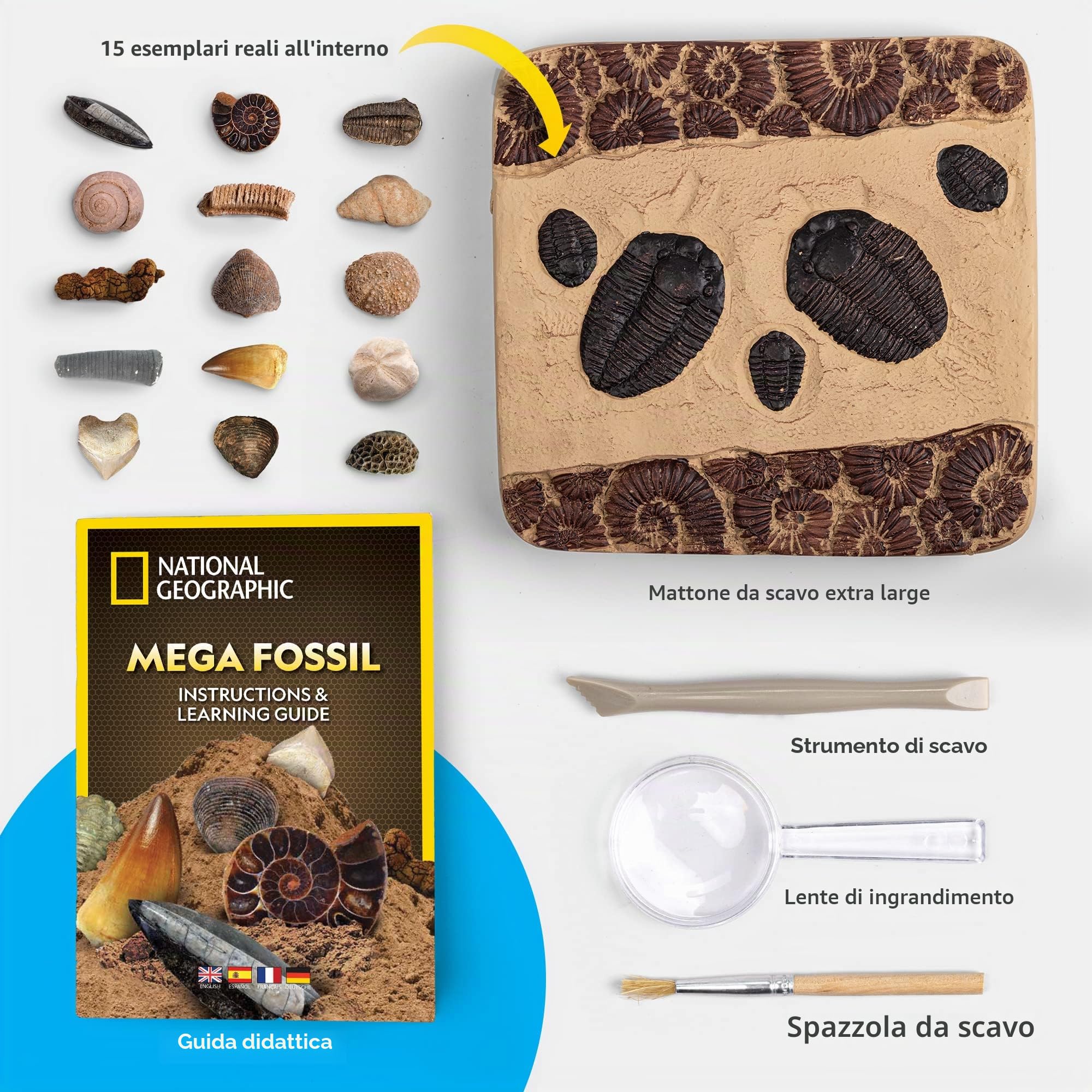 National Geographic Kit scientifici e di scoperta NGSUPERFOS kit di scavo fossili 15 fossili