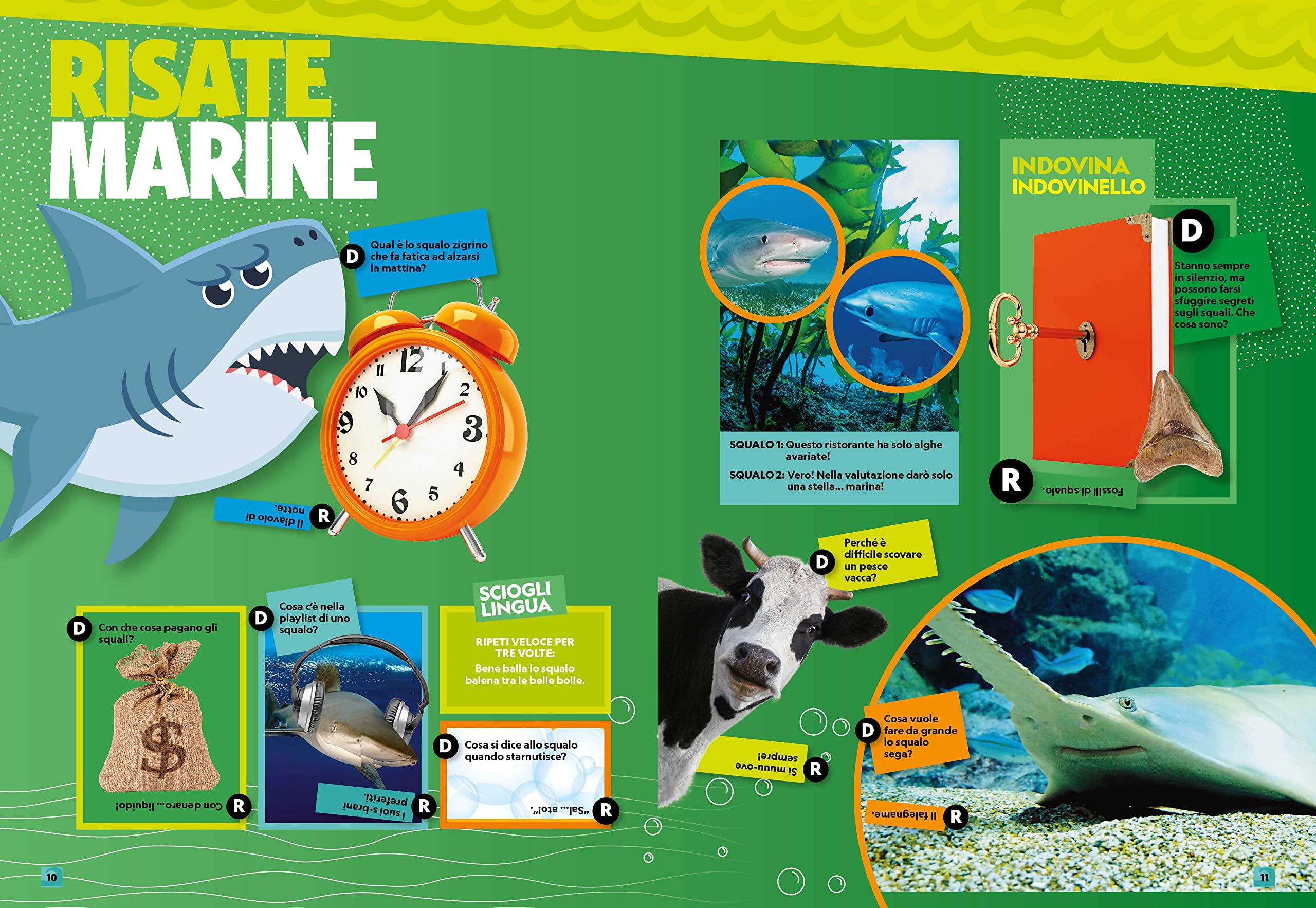 National Geographic Kids – Libri A ciascuno il suo squalo! libro
