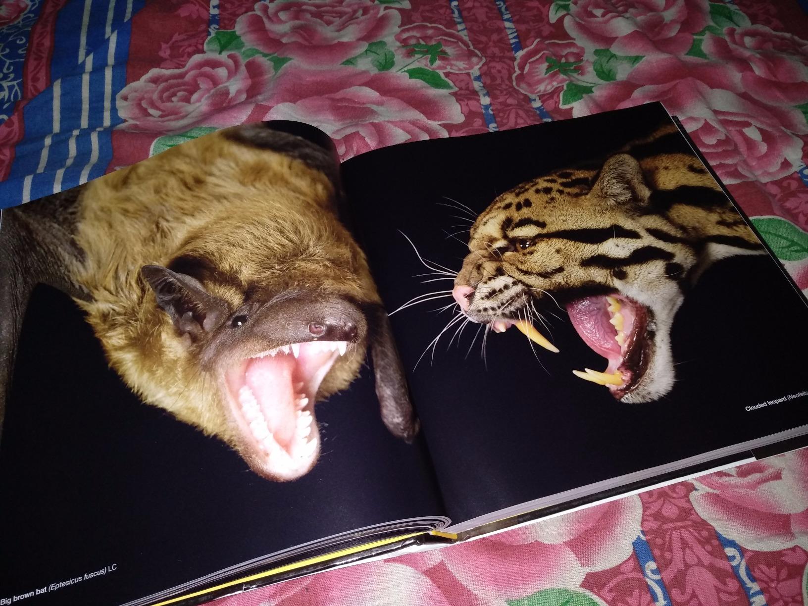 National Geographic – Libri The Photo Ark libro fotografico sugli animali