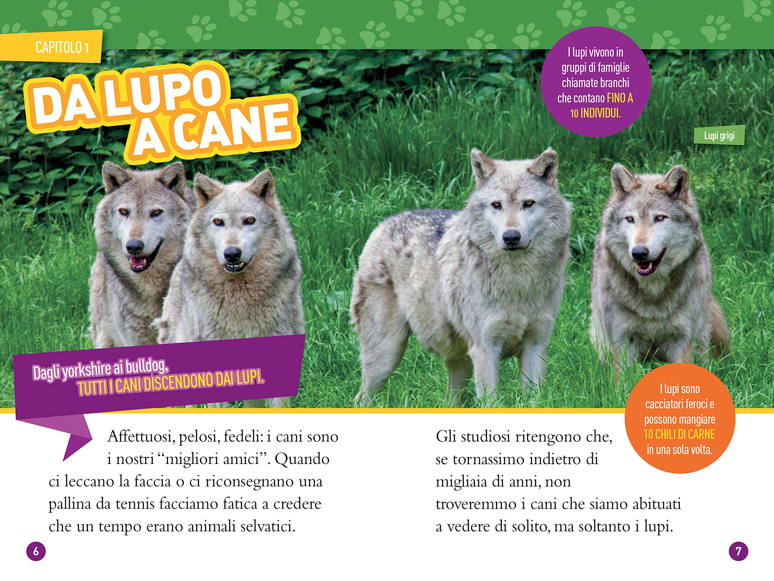 National Geographic Kids – Libri Cani Livello 4 libro per bambini