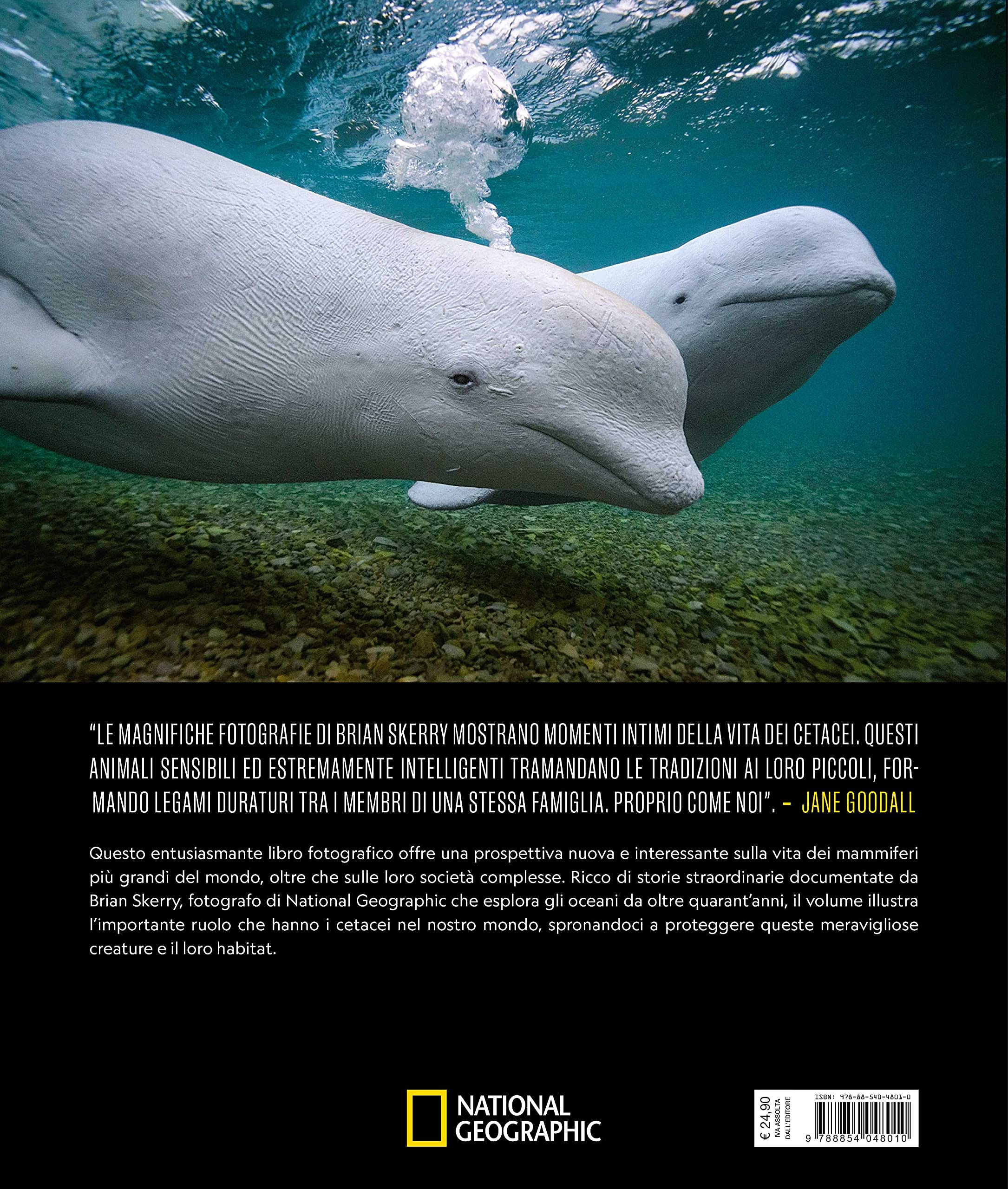 National Geographic – Libri Balene. I segreti dei più grandi mammiferi viventi libro a colori