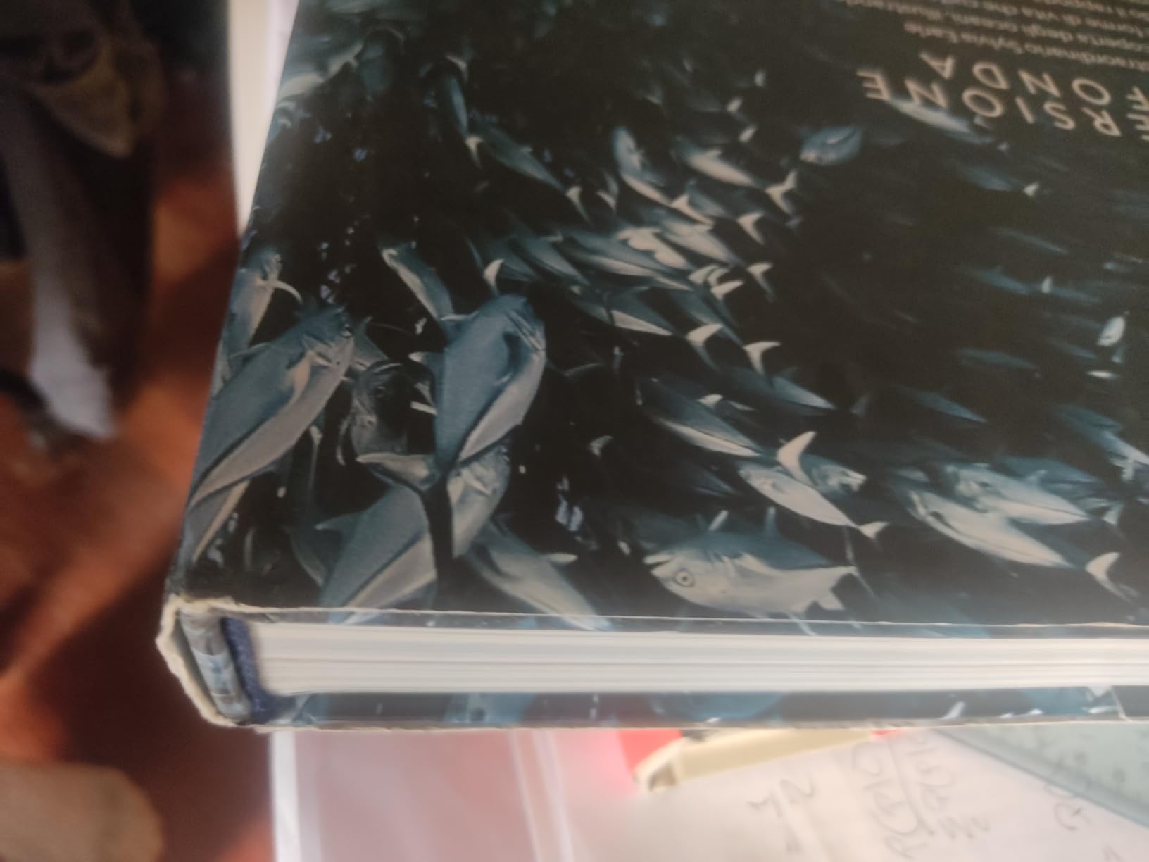 National Geographic – Libri NATURA E POPOLI - Oceani: L'ultima odissea libro illustrato