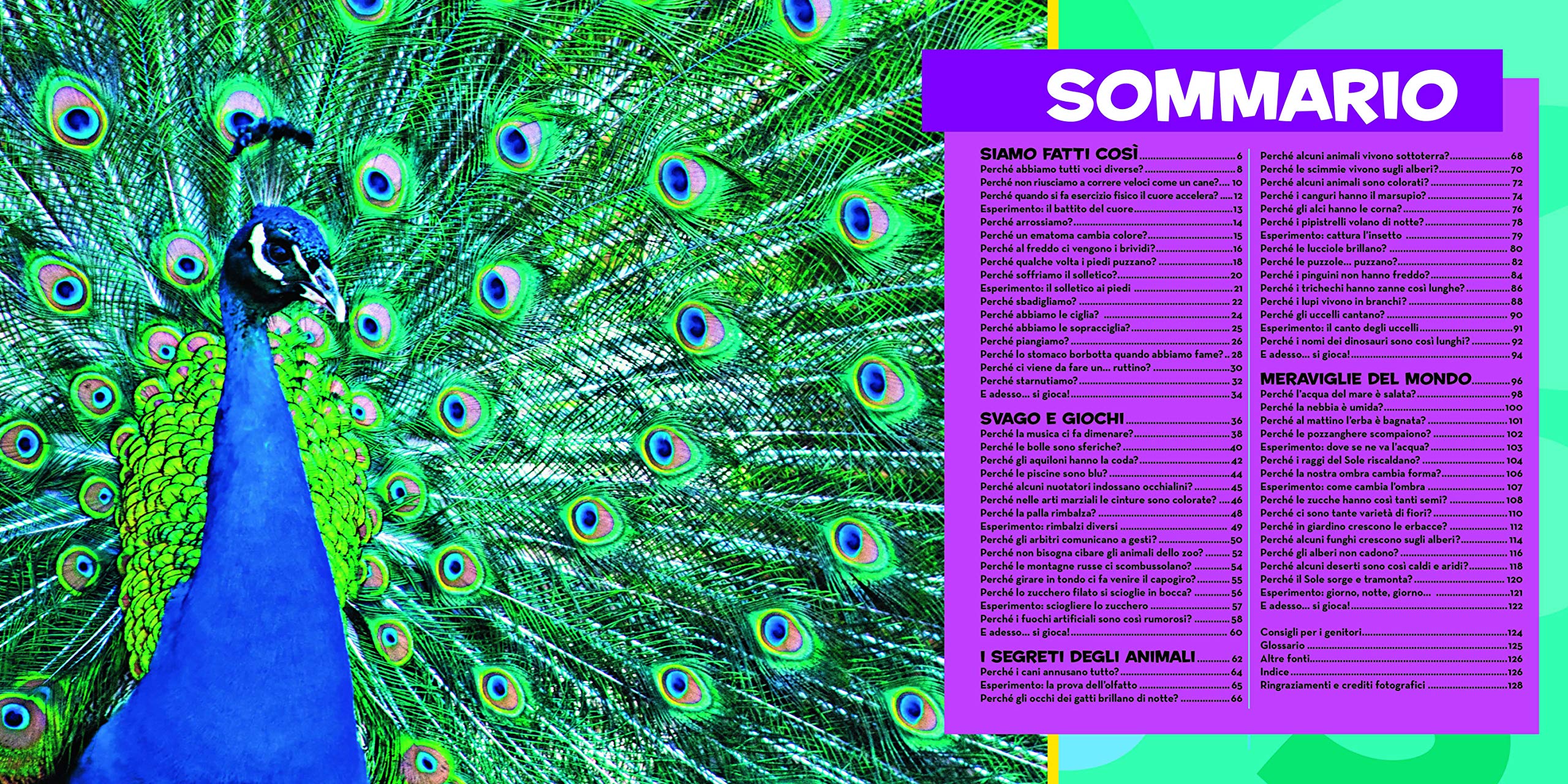 National Geographic Kids – Libri Il primo grande libro dei perché Vol. 2