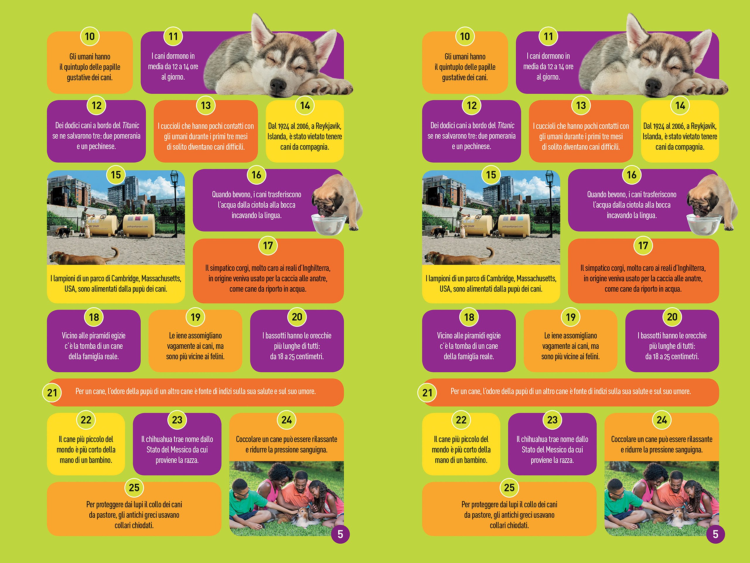 National Geographic Kids – Libri Cani Livello 4 libro per bambini