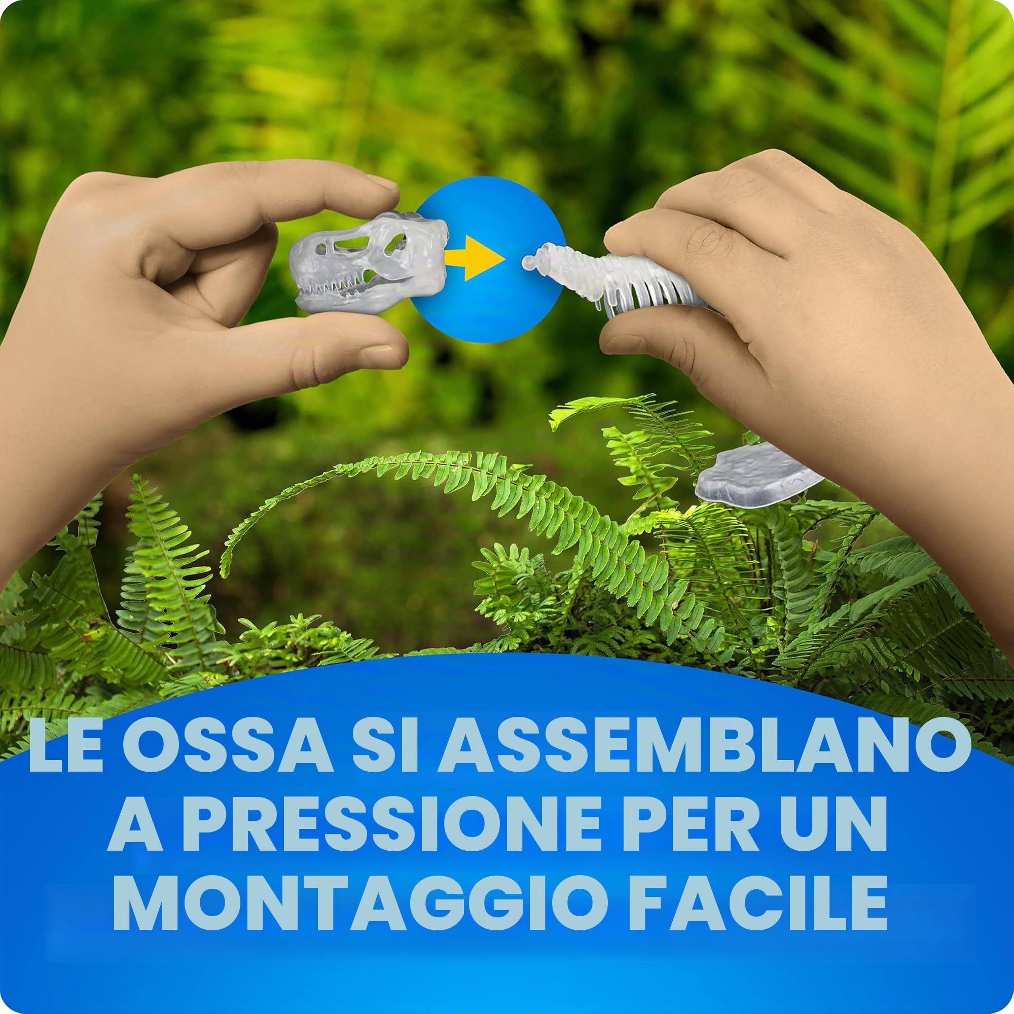 National Geographic Kit scientifici e di scoperta Scheletri Dinosauri Glow in the Dark kit fosforescente