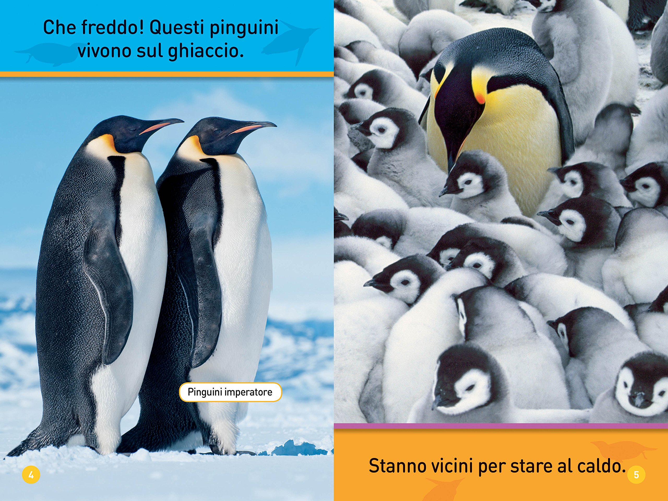 National Geographic Kids – Libri Il mio amico pinguino Primi passi libro