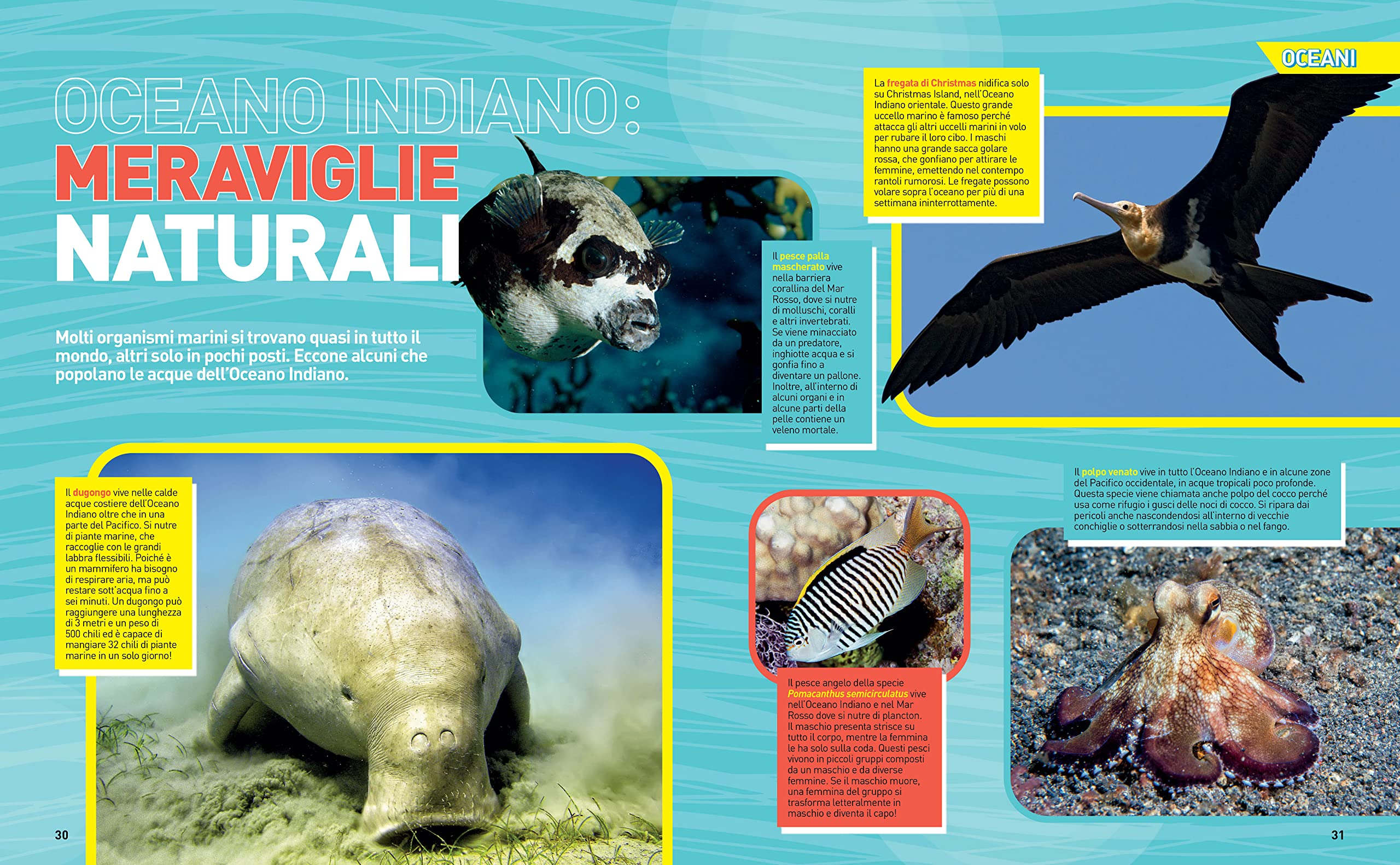 National Geographic Kids – Libri Enciclopedia Oceani libro illustrato