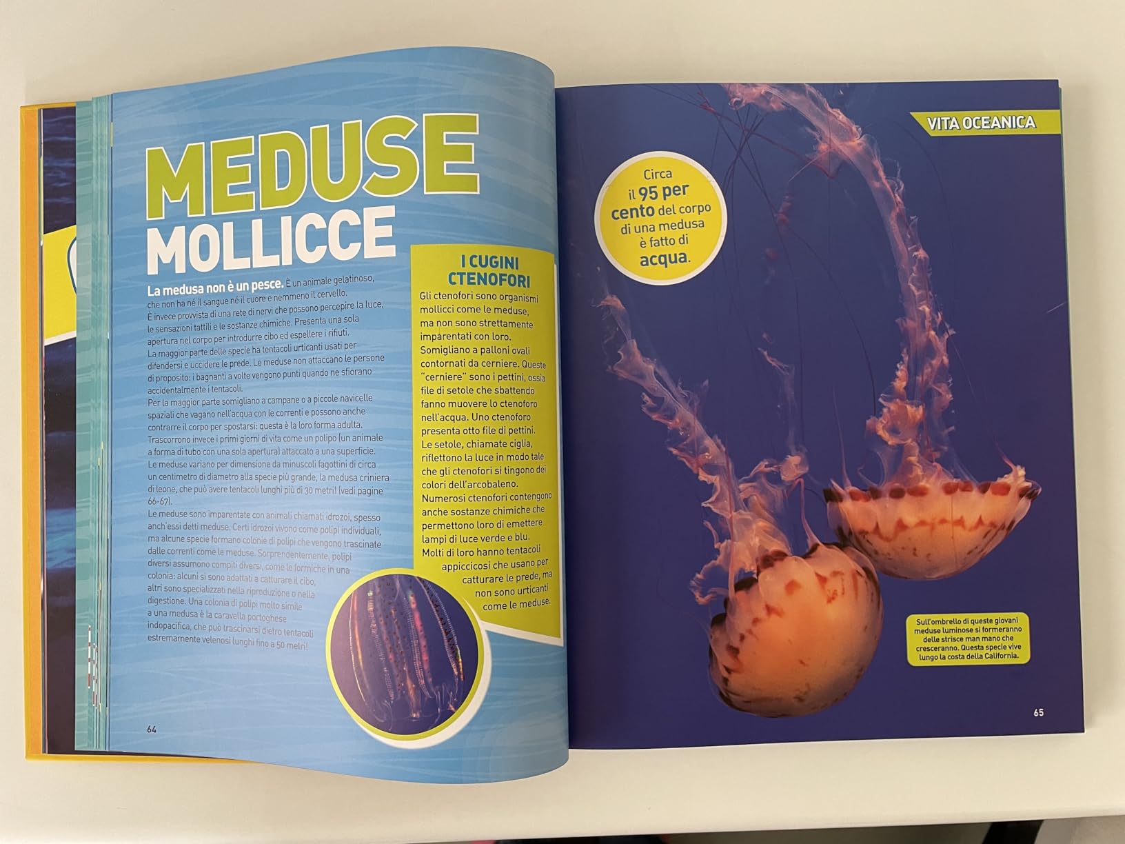 National Geographic Kids – Libri Enciclopedia Oceani libro illustrato