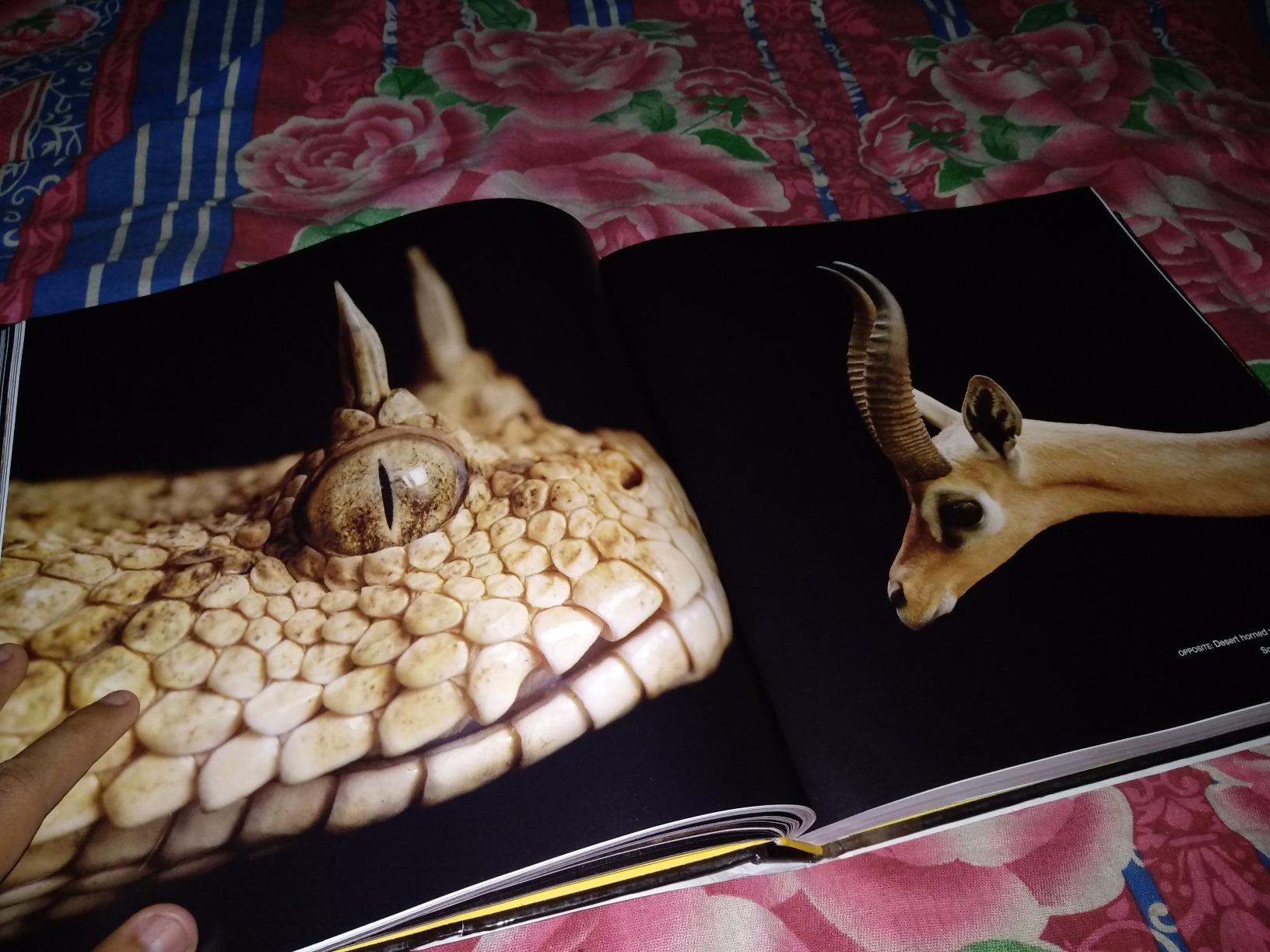 National Geographic – Libri The Photo Ark libro fotografico sugli animali