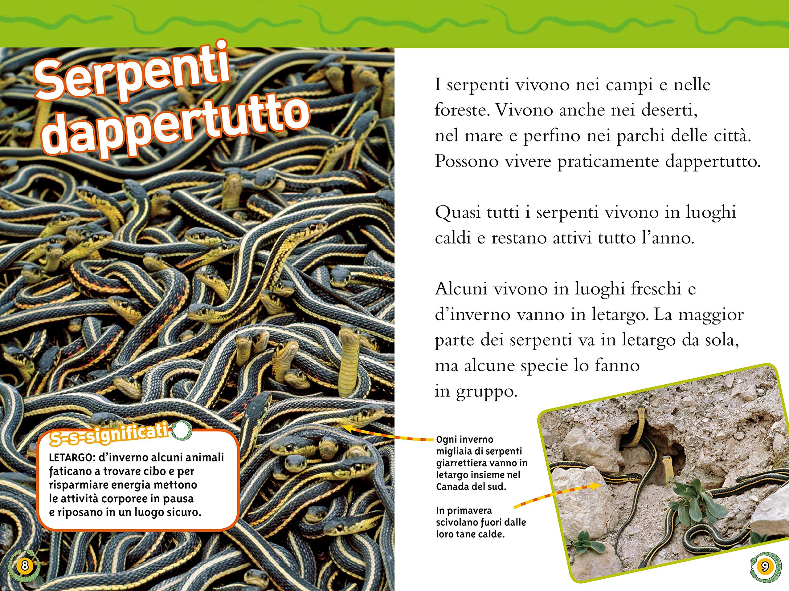 National Geographic Kids – Libri Serpenti. Livello 3 libro lettura