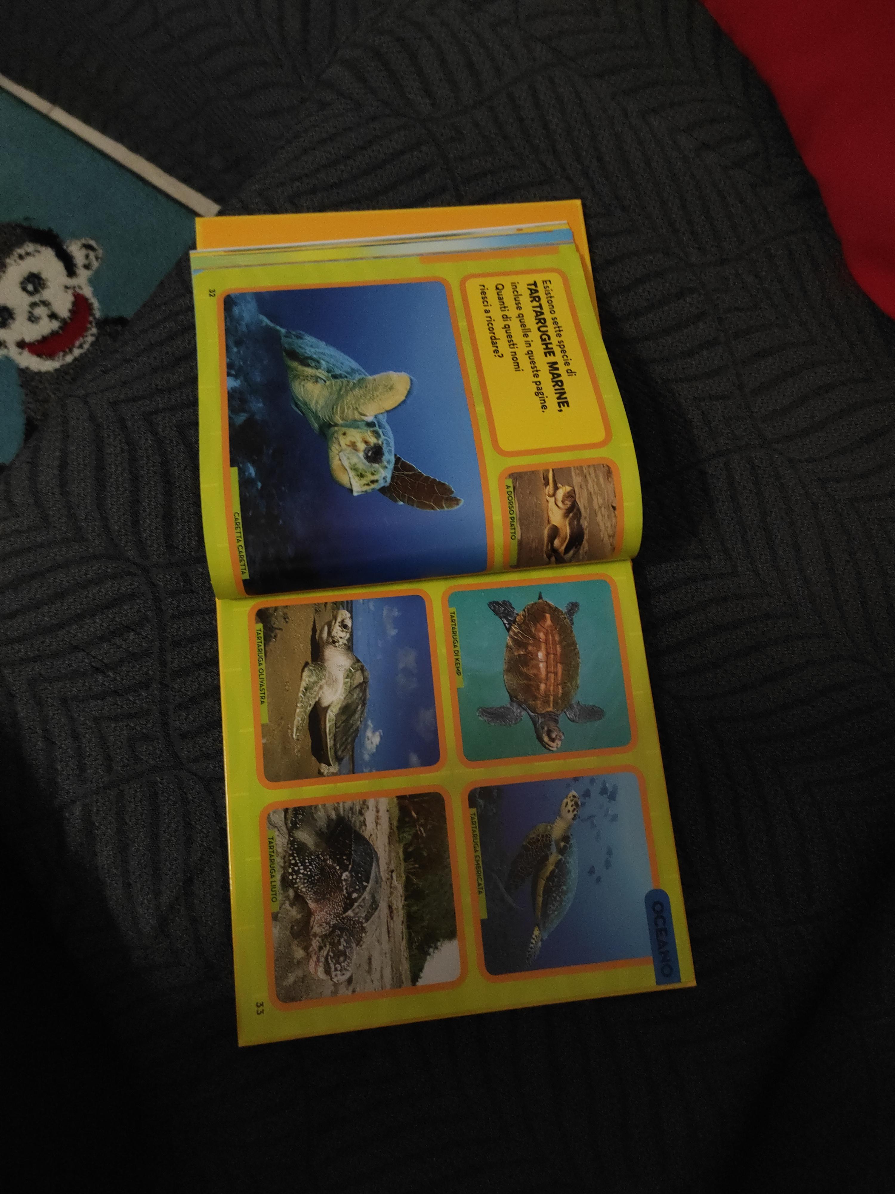 National Geographic Kids Il primo grande libro degli animali libro illustrato