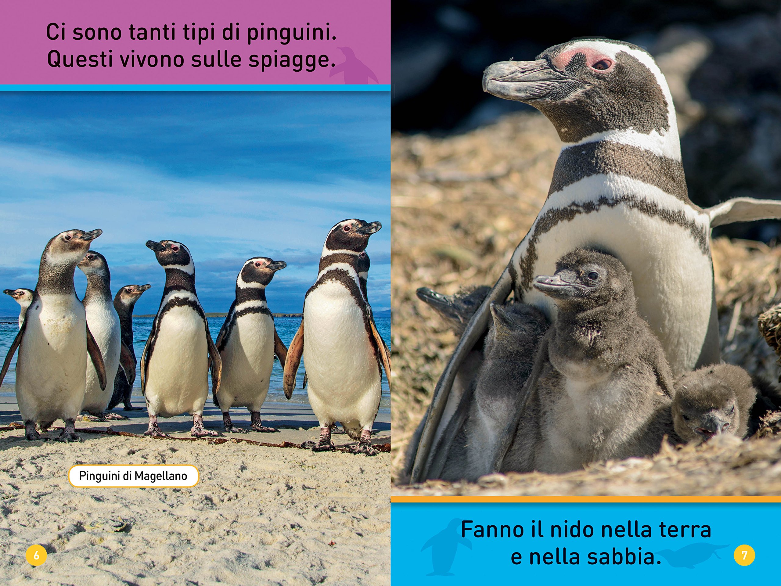 National Geographic Kids – Libri Il mio amico pinguino Primi passi libro