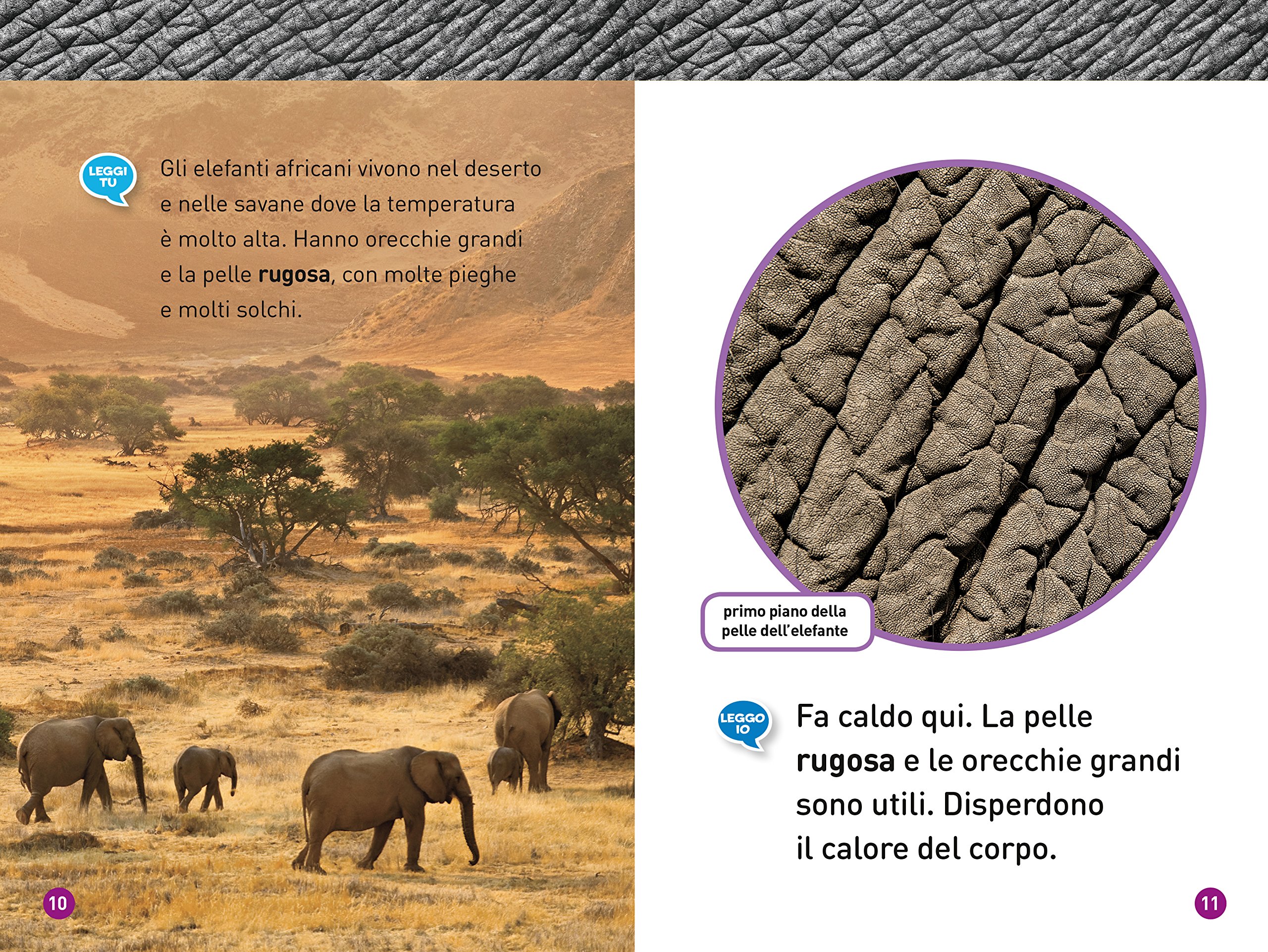 National Geographic Kids – Libri Elefanti. Livello 1. Ediz. a colori libro