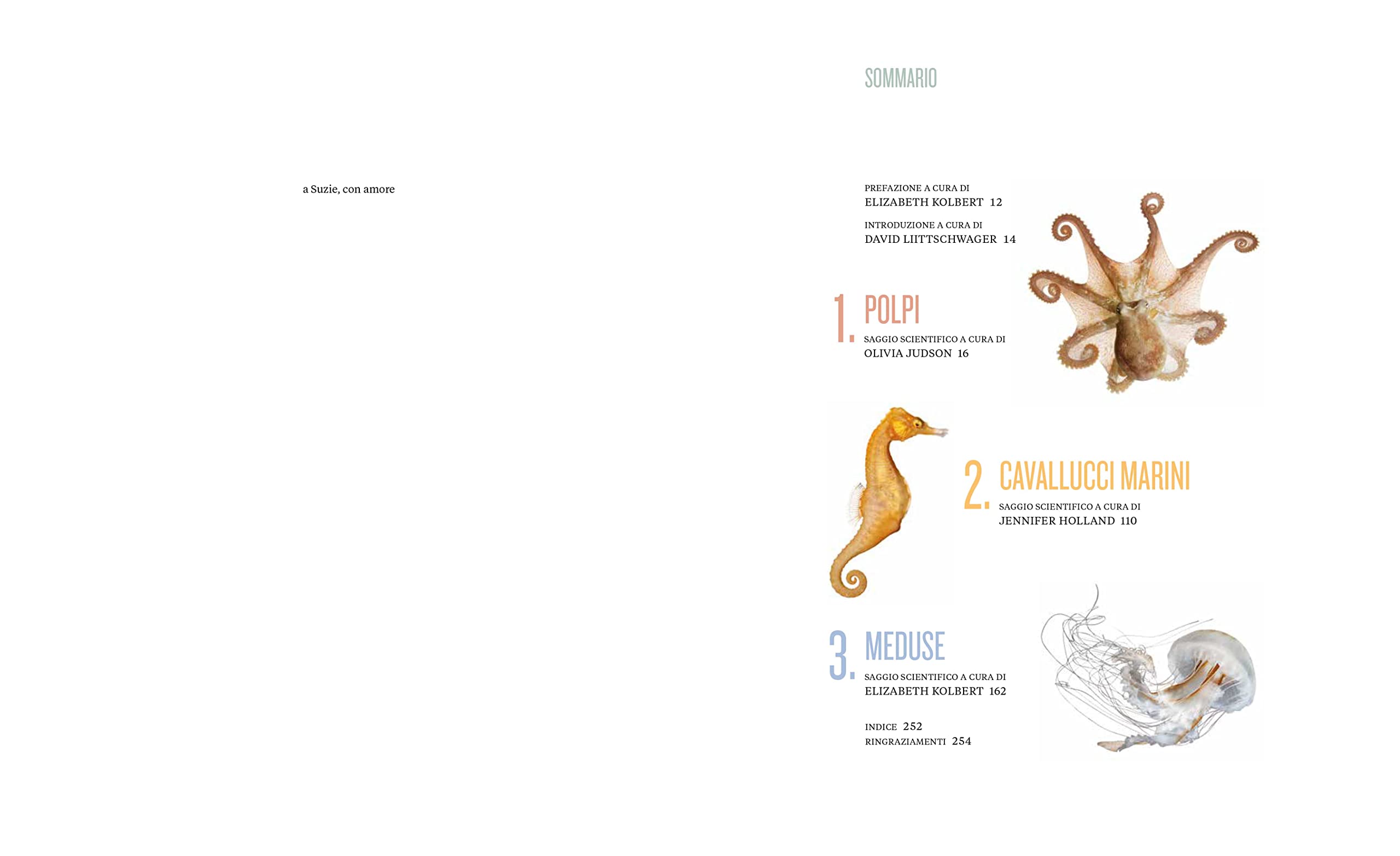 National Geographic Libri Straordinarie creature marine libro a colori
