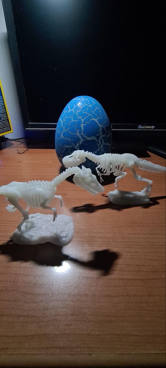 National Geographic Kit scientifici e di scoperta Scheletri Dinosauri Glow in the Dark kit fosforescente