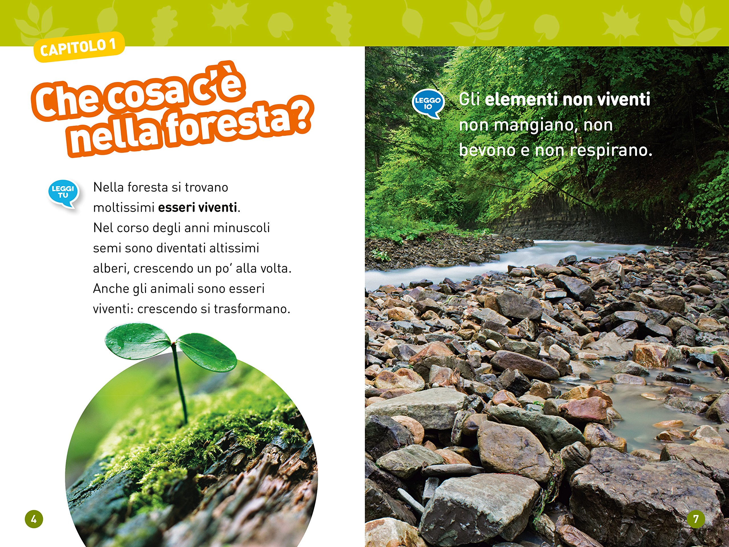 National Geographic Kids Nella foresta Livello 1 libro per bambini