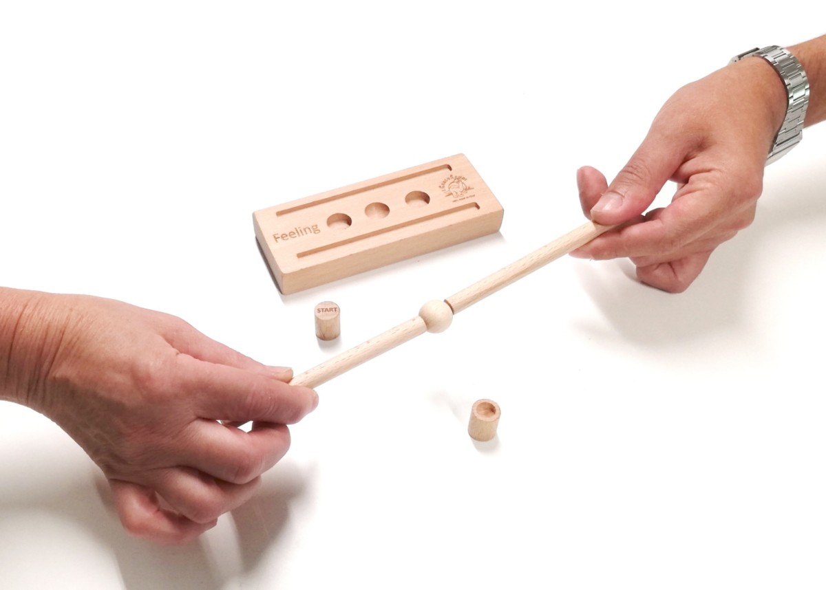 Il Pianeta delle idee I CarloSauri Feeling gioco