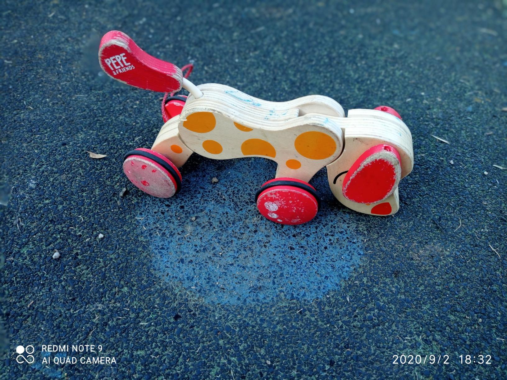 Hape Spingi e cammina Pepe cagnolino trainabile in legno