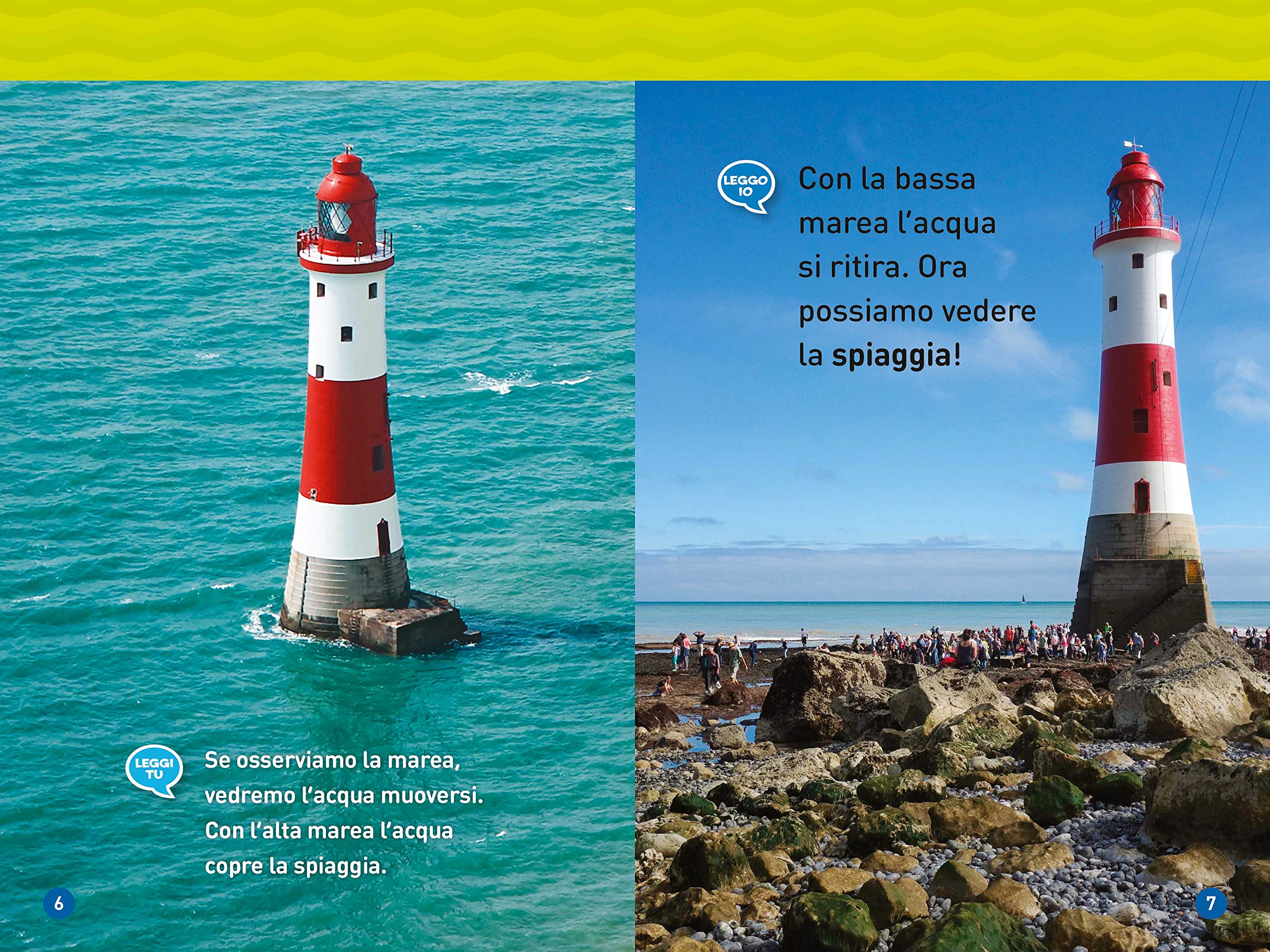 National Geographic Kids – Libri La vita nel mare libro livello 1 a colori