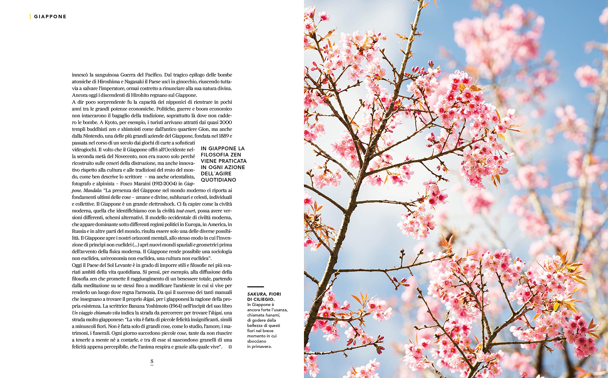National Geographic – Libri Giappone Il Paese dei ciliegi in fiore libro illustrato
