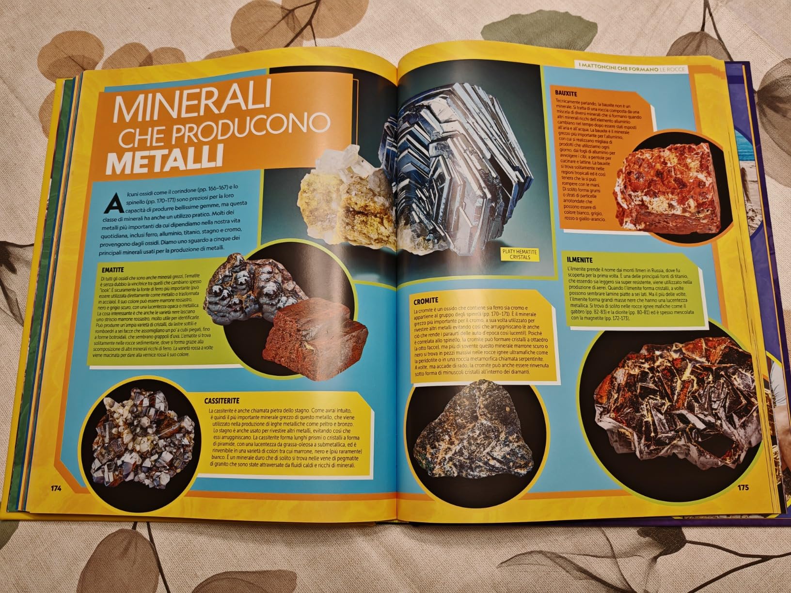 National Geographic Kids – Libri La grande enciclopedia delle rocce e dei minerali libro