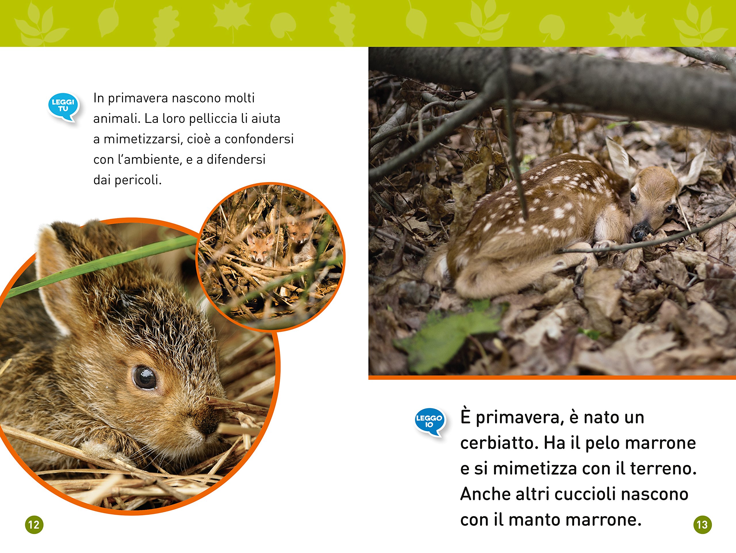National Geographic Kids Nella foresta Livello 1 libro per bambini