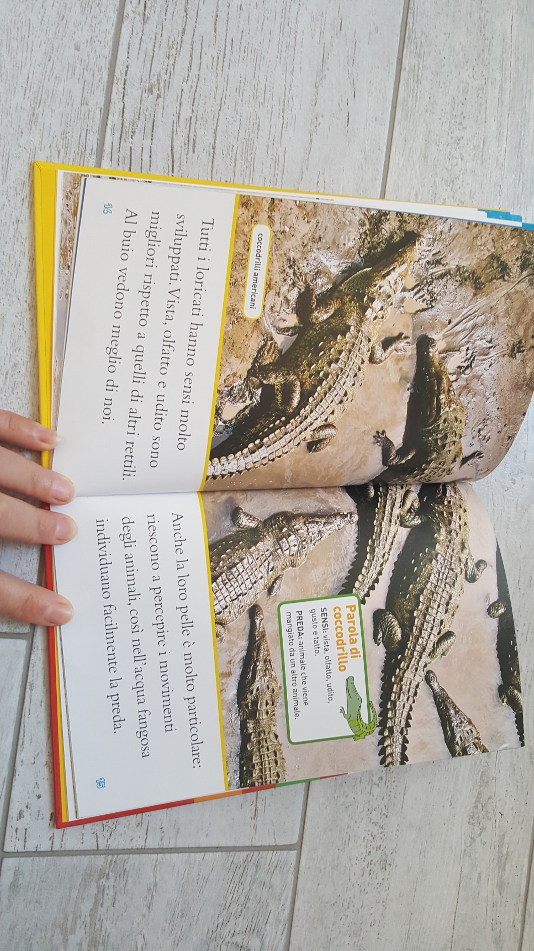 National Geographic National Geographic Kids – Libri Alligatori e coccodrilli. Livello 3. Diventa un super lettore libro