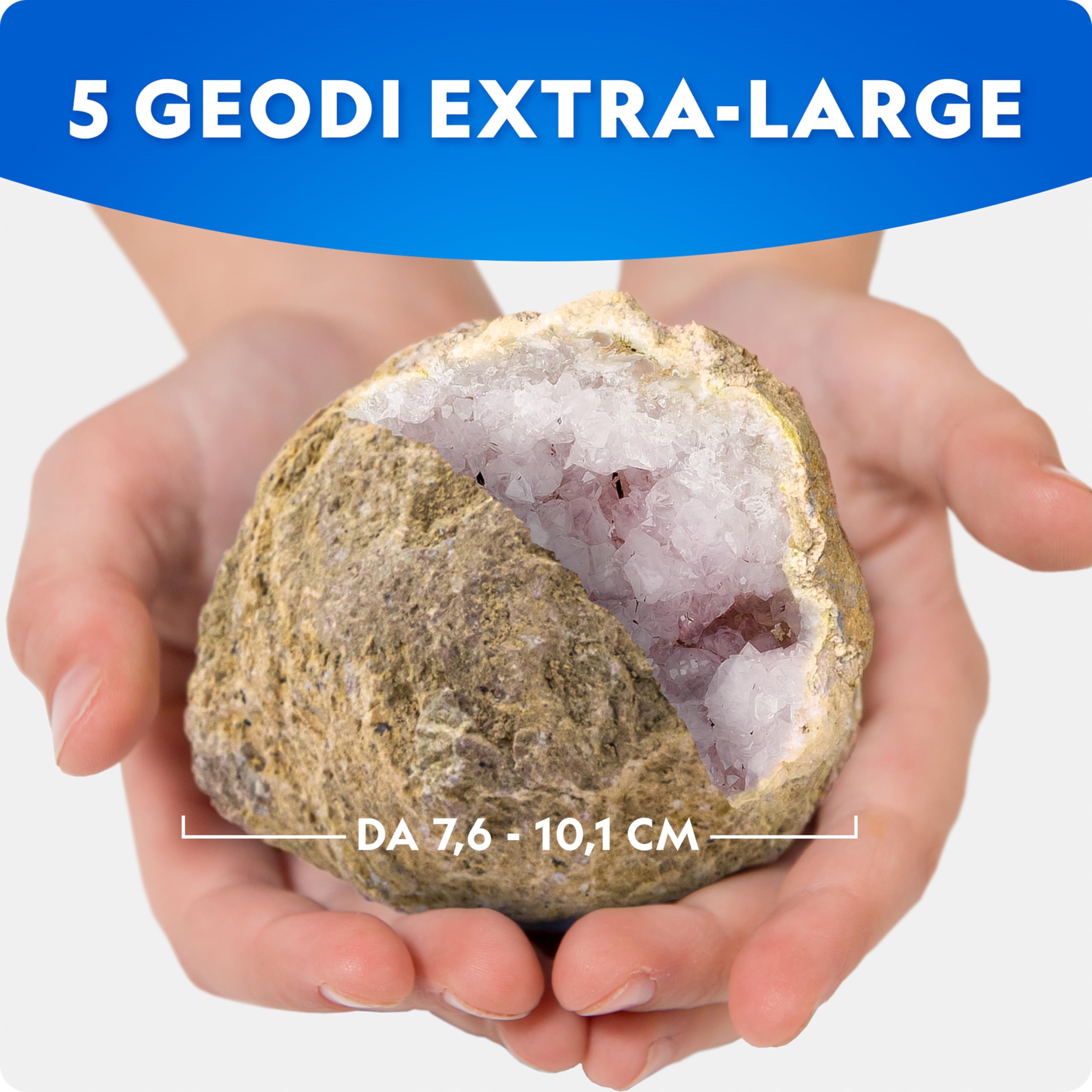National Geographic Kit scientifici e di scoperta 5 Geodi Jumbo kit 5 pezzi naturali
