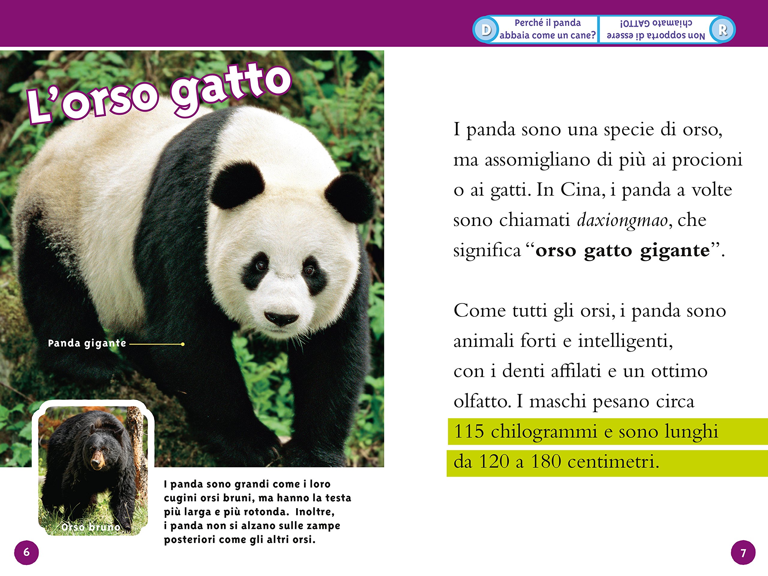 National Geographic Kids – Libri Panda. Livello 3. Ediz. a colori libro