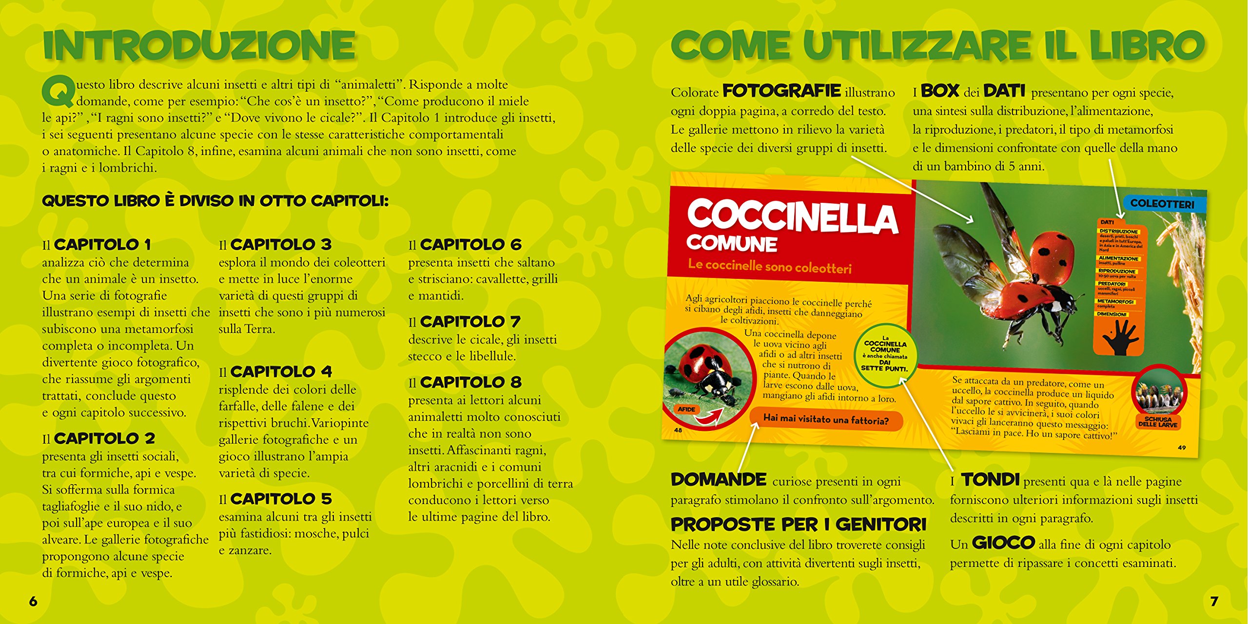 National Geographic Kids – Libri Il primo grande libro degli insetti libro a colori