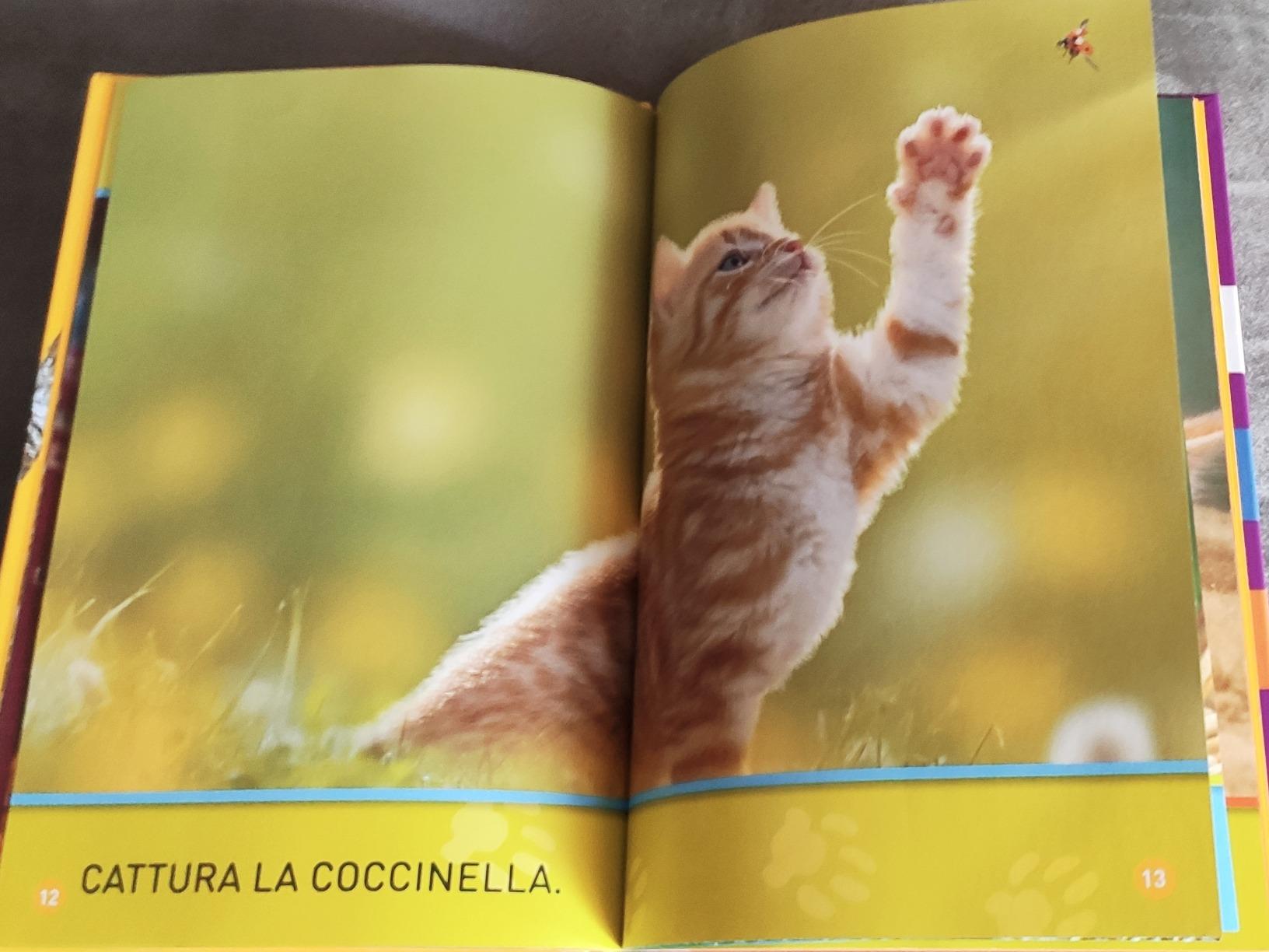 National Geographic Kids – Libri Gioca, gattino! Primi passi libro illustrato