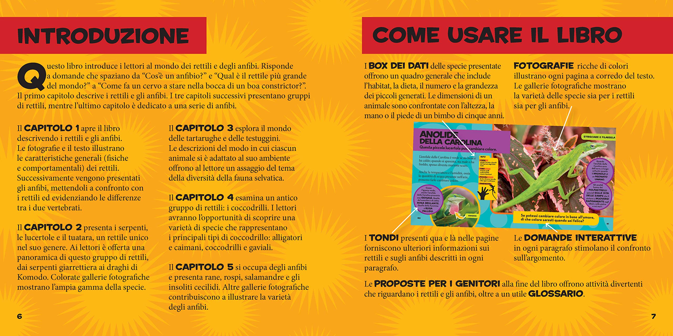 National Geographic Kids – Libri Il primo grande libro dei rettili e degli anfibi
