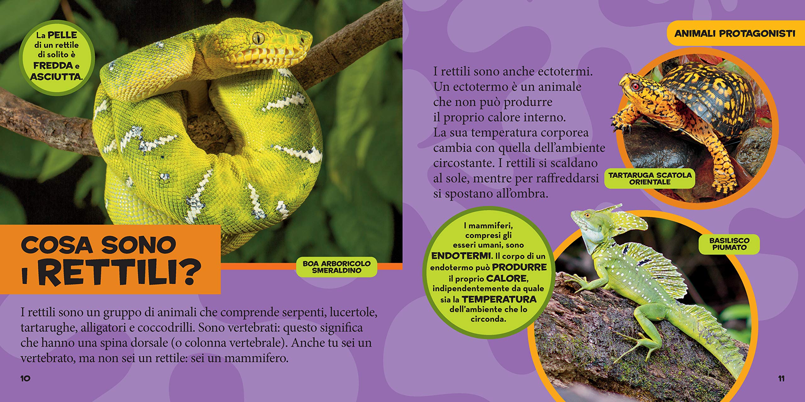 National Geographic Kids – Libri Il primo grande libro dei rettili e degli anfibi