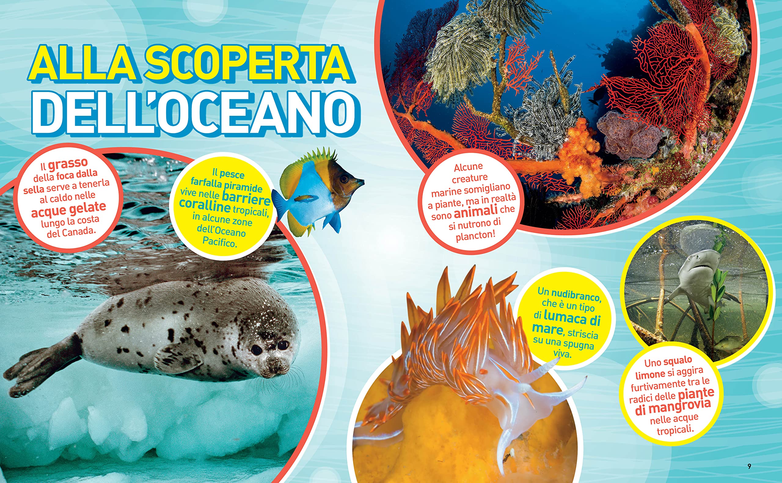 National Geographic Kids – Libri Enciclopedia Oceani libro illustrato