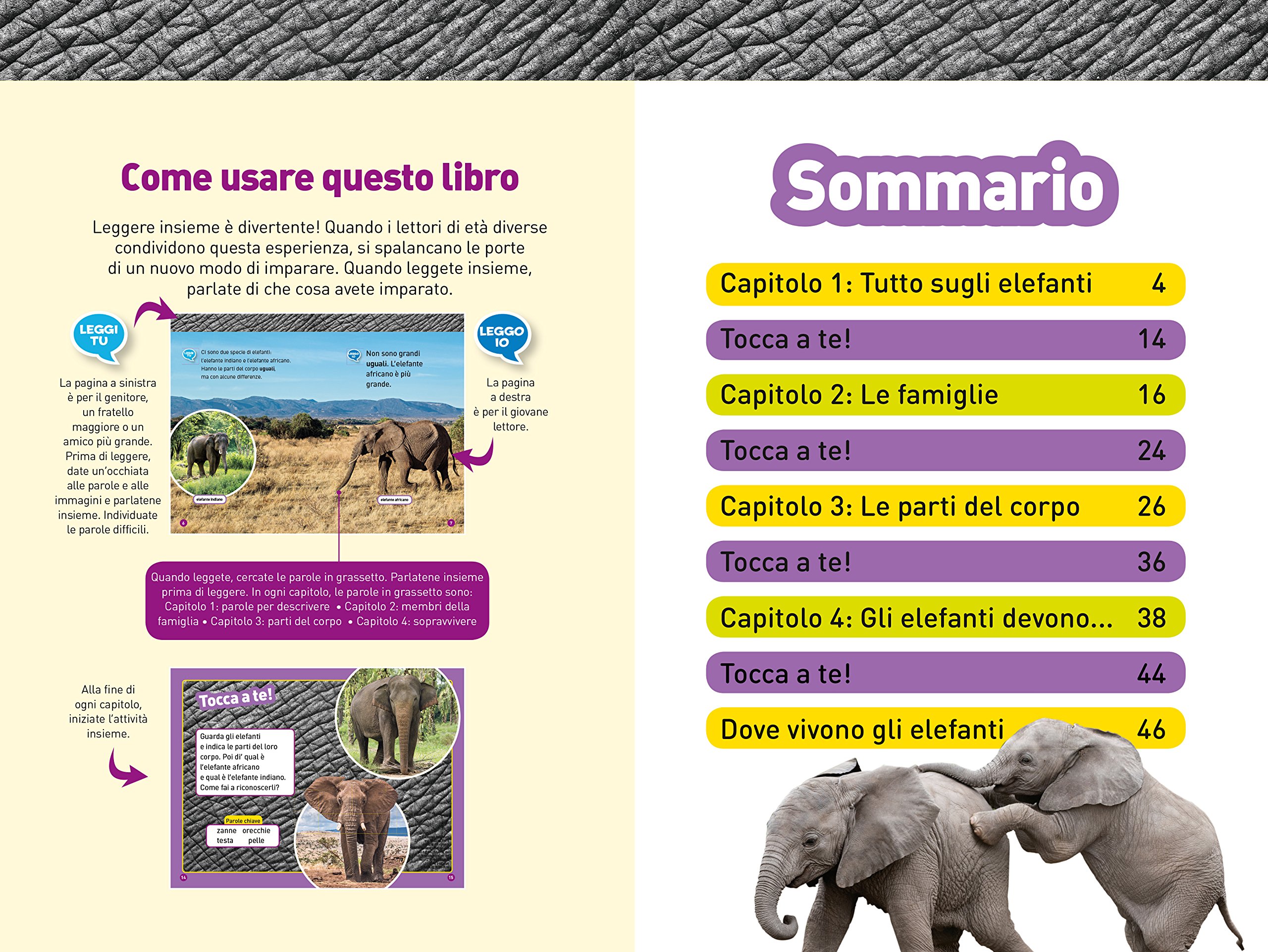 National Geographic Kids – Libri Elefanti. Livello 1. Ediz. a colori libro